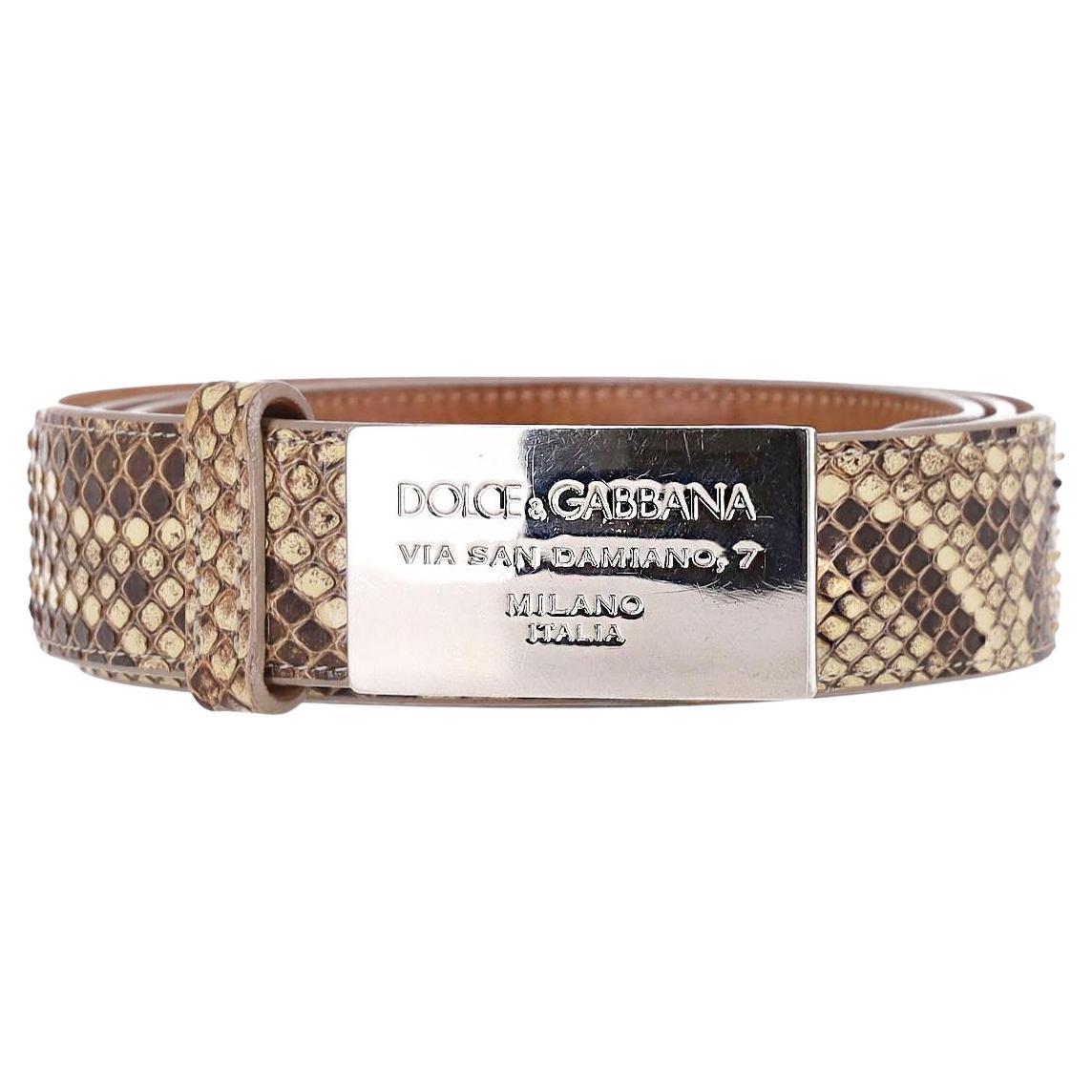 Cinturón Dolce & Gabbana De Piel De Serpiente Con Hebilla Con Logotipo en venta