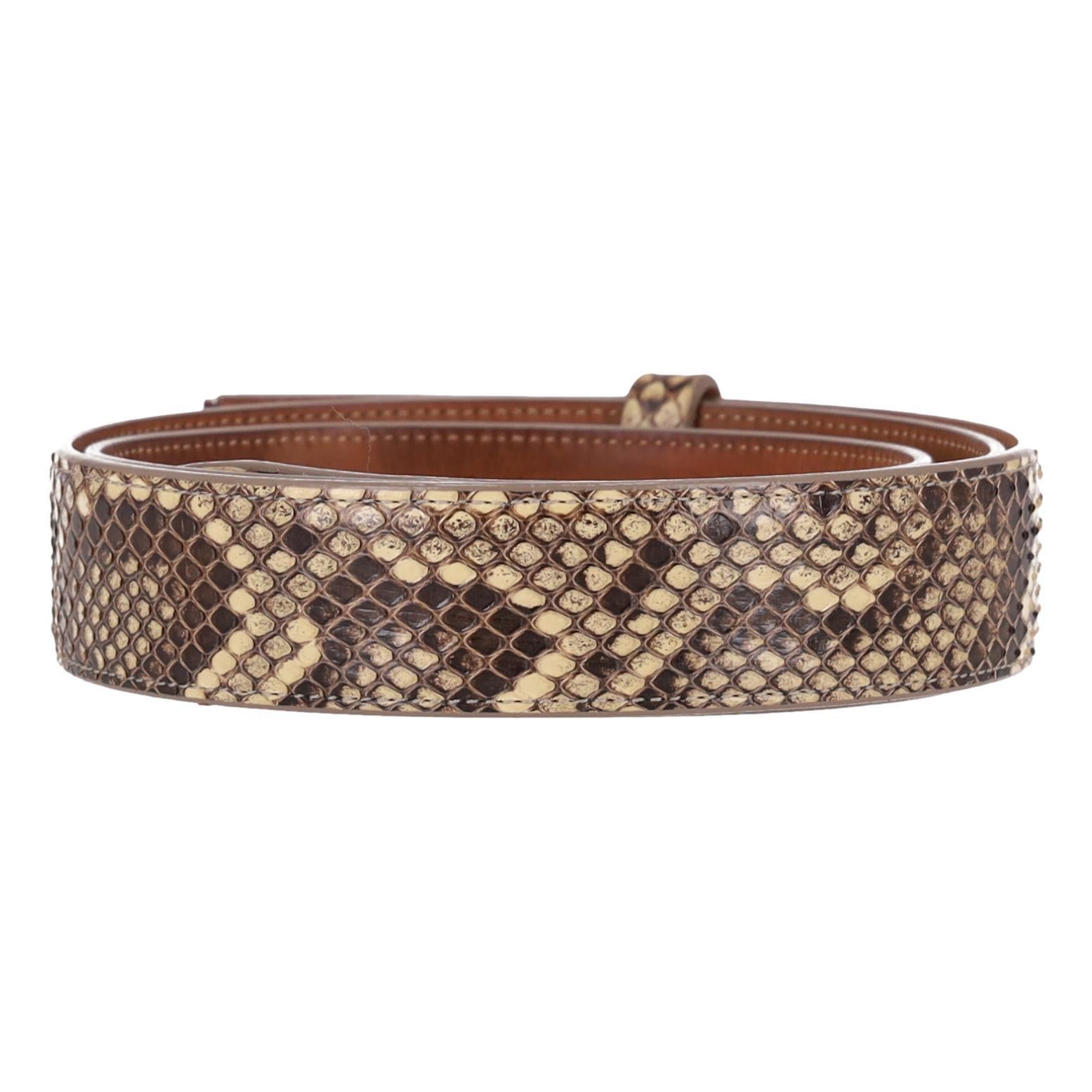 Cinturón Dolce & Gabbana De Piel De Serpiente Con Hebilla Con Logotipo Marrón en venta
