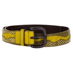 Bottega Veneta Python Skin & Leather Belt