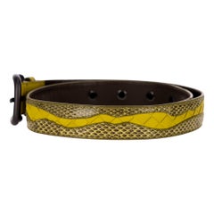 Bottega Veneta Python Skin & Leather Belt