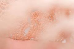 Blush. Feminine hand-crafted white leather and crochet t-bar shoes