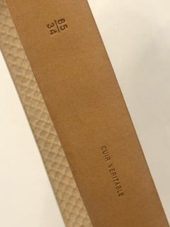 Rare Chanel Cruise 2011 Paris Saint Tropez Runway Python Belt oversized buckle