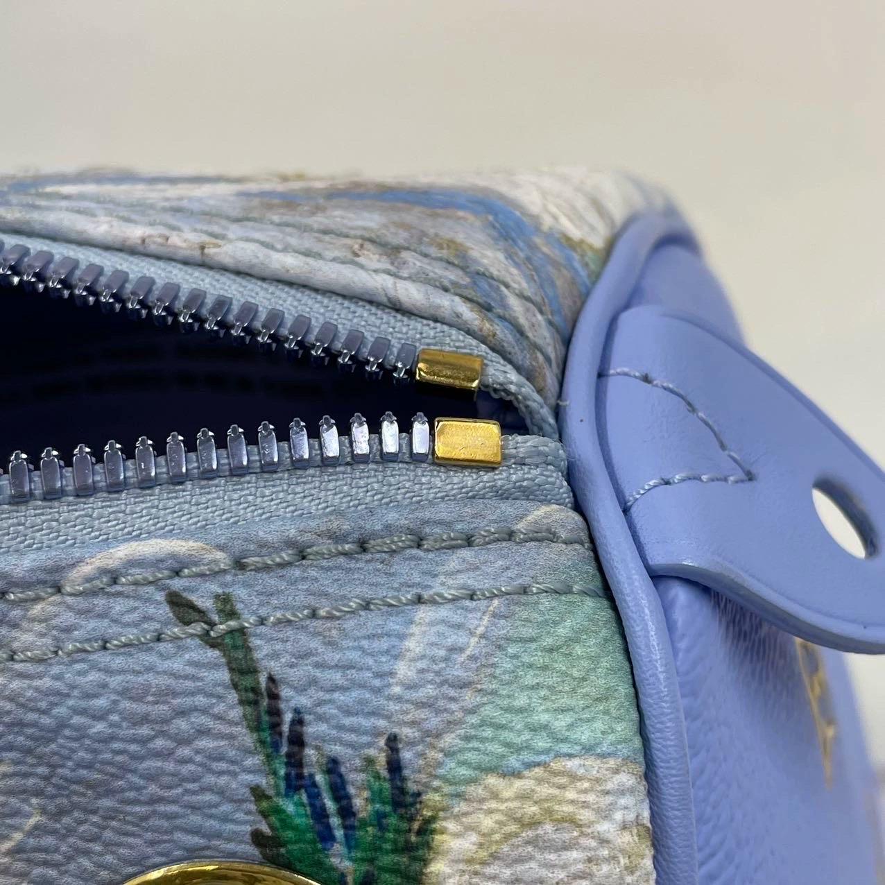 Louis Vuitton x Jeff Koons Speedy 30 Van Gogh Top Handle Bag For Sale 7