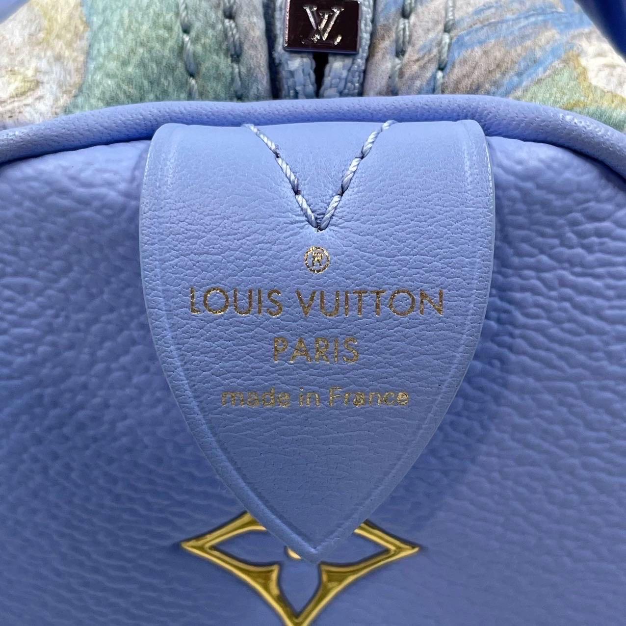 Louis Vuitton x Jeff Koons Speedy 30 Van Gogh Top Handle Bag For Sale 10