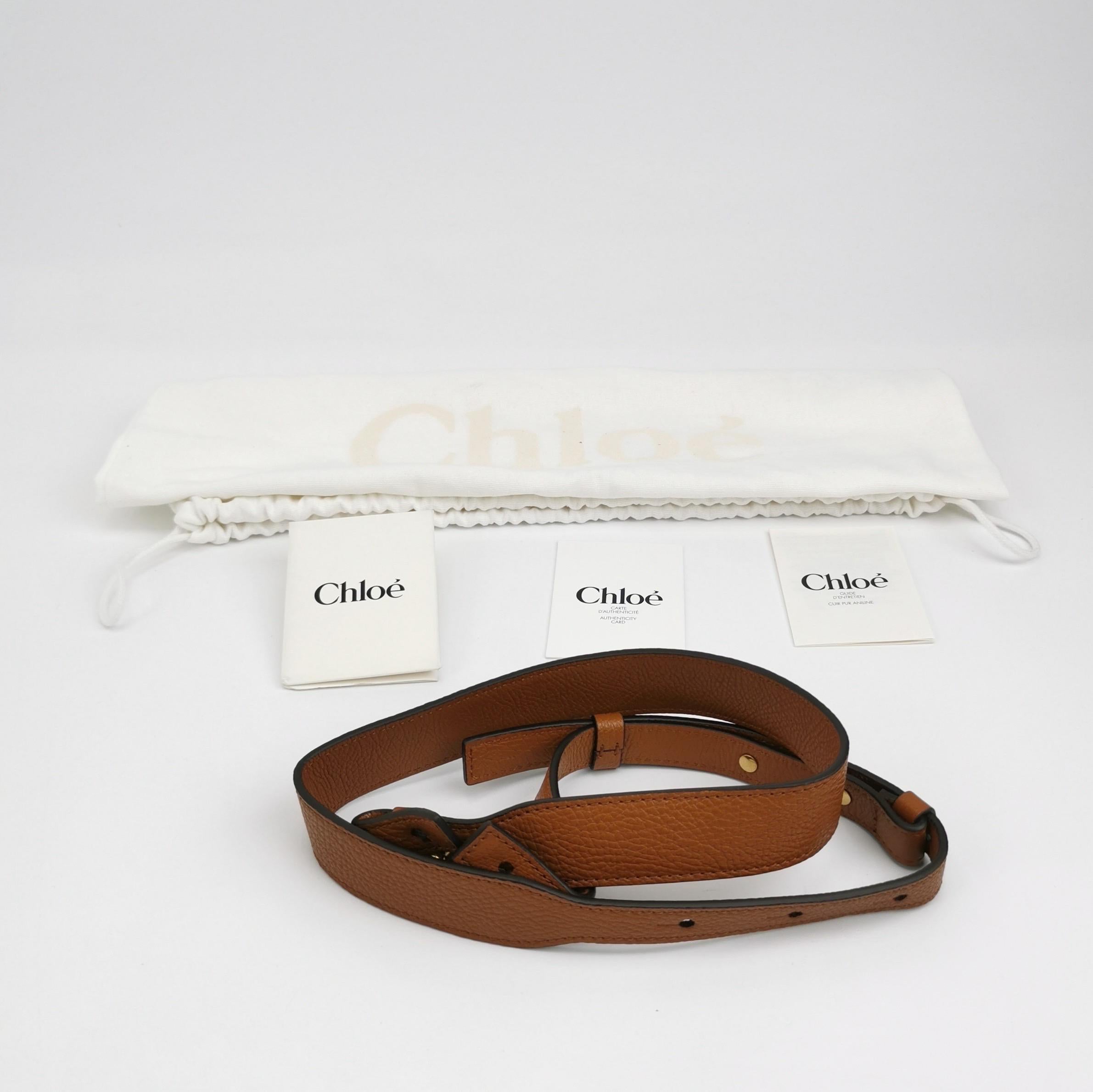 CHLOÉ Bracelet Embellished Brown Glossed Textured-leather Shoulder Bag For Sale 4
