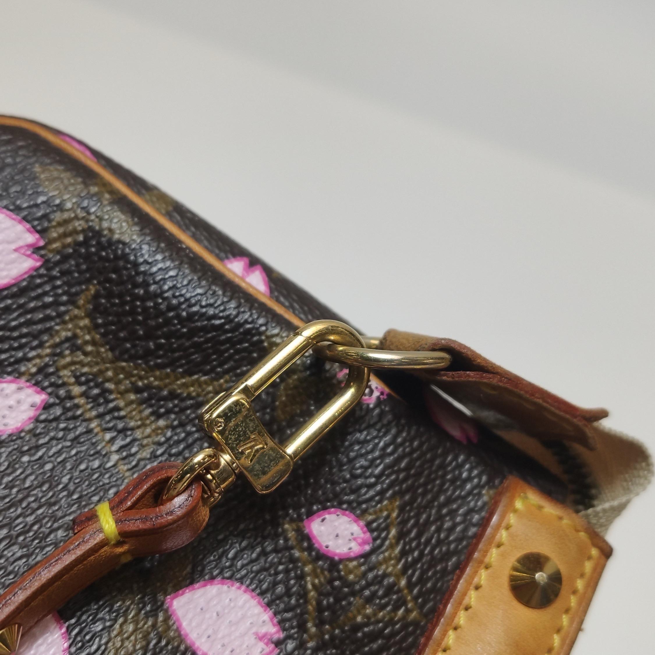 Louis Vuitton x Takashi Murakami Cherry Blossom Pochette Accessori in vendita 3