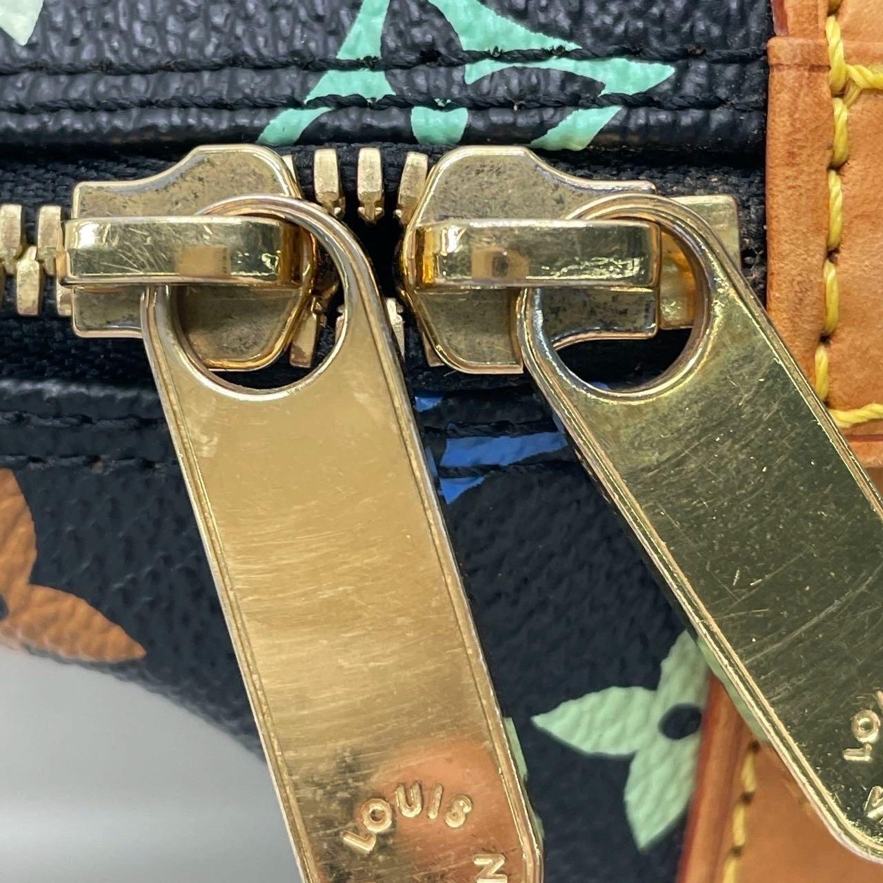 Louis Vuitton x Takashi Murakami Alma Small Nero Multicolor in vendita 11
