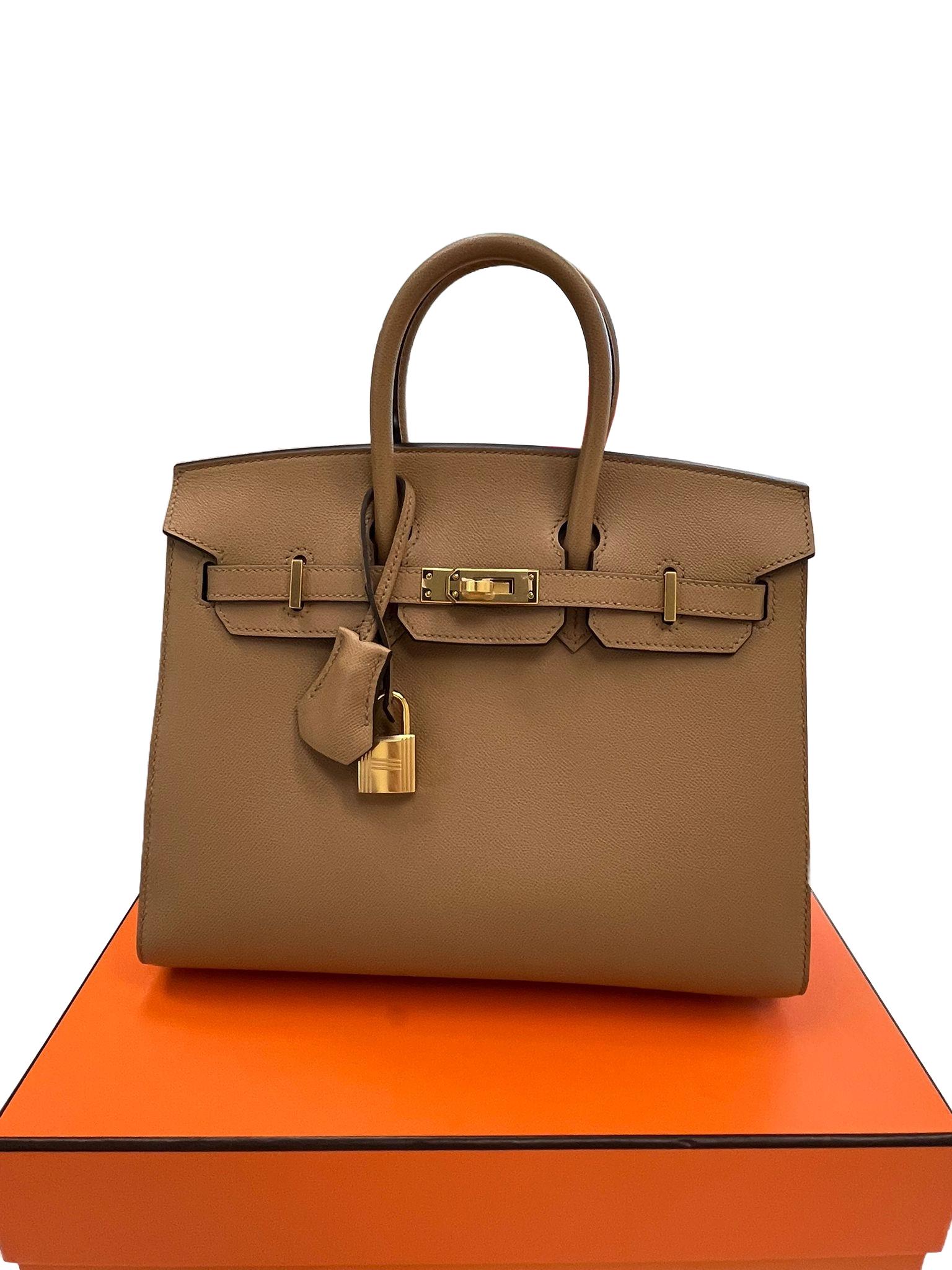 Hermes Birkin Sellier 25 Chai Madame Leder zwei Riemen Gold Hardware Handtasche im Angebot 1