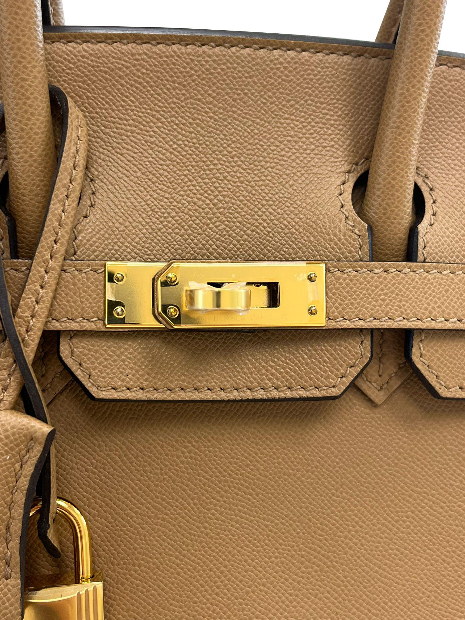 Hermes Birkin Sellier 25 Chai Madame Leder zwei Riemen Gold Hardware Handtasche im Angebot 4