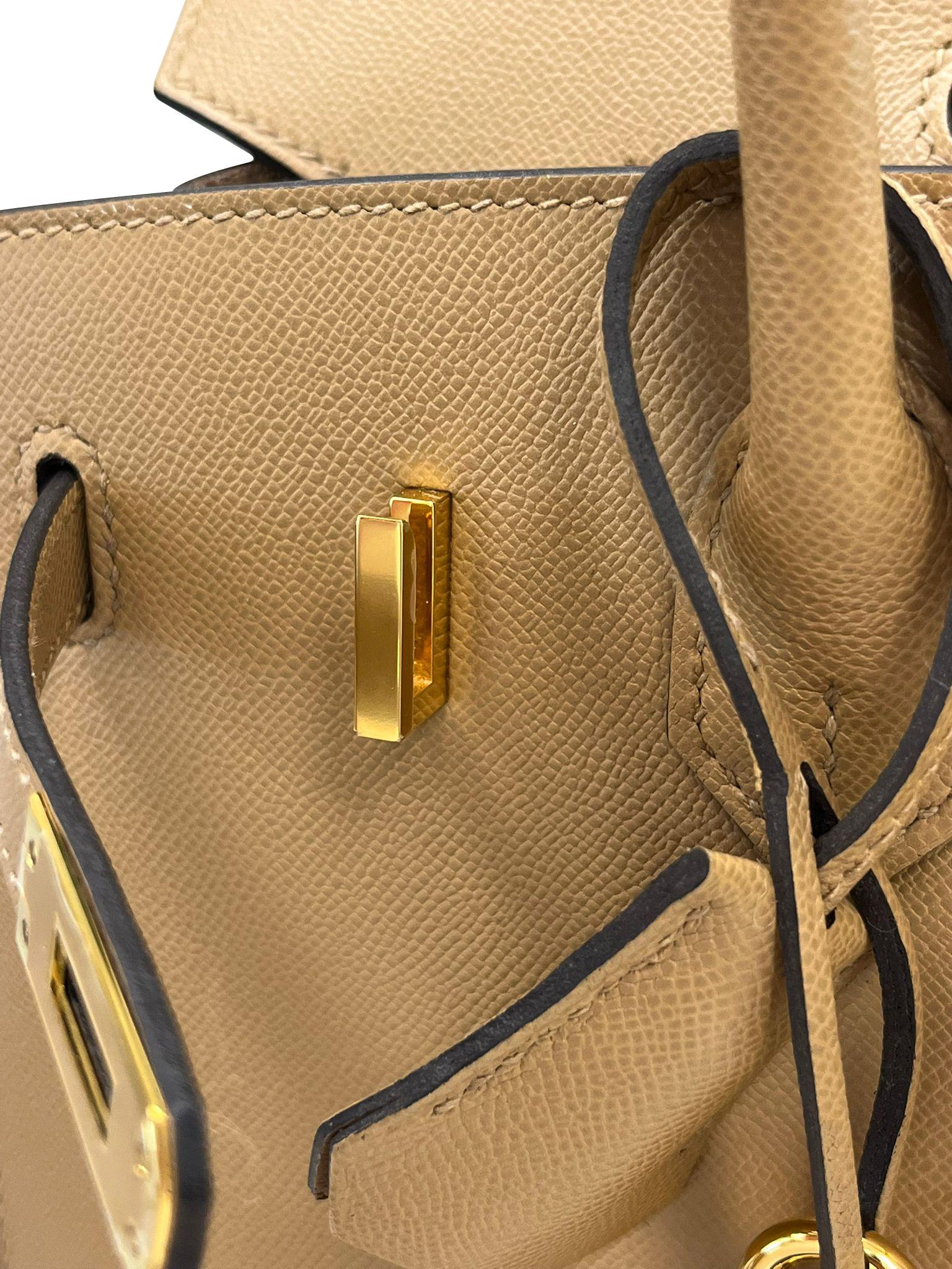 Hermes Birkin Sellier 25 Chai Madame Leder zwei Riemen Gold Hardware Handtasche im Angebot 5
