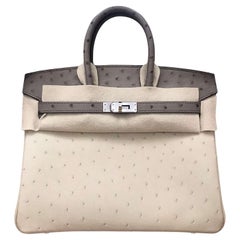 Hermes Birkin 25 Bicolor Gris Agate and White Ostrich Palladium Hardware Handbag