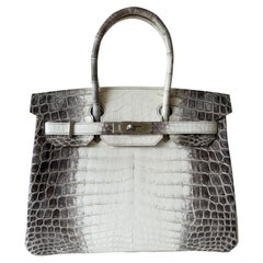 Hermès Birkin 30 Himalaya Crocodile Niloticus Palladium Hardware