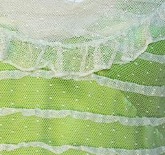 30s Pale Yellow Mesh Gown with Swiss Dot Motif, Ruffle, and Slip