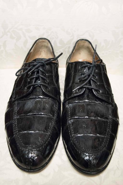 belvedere gators shoes