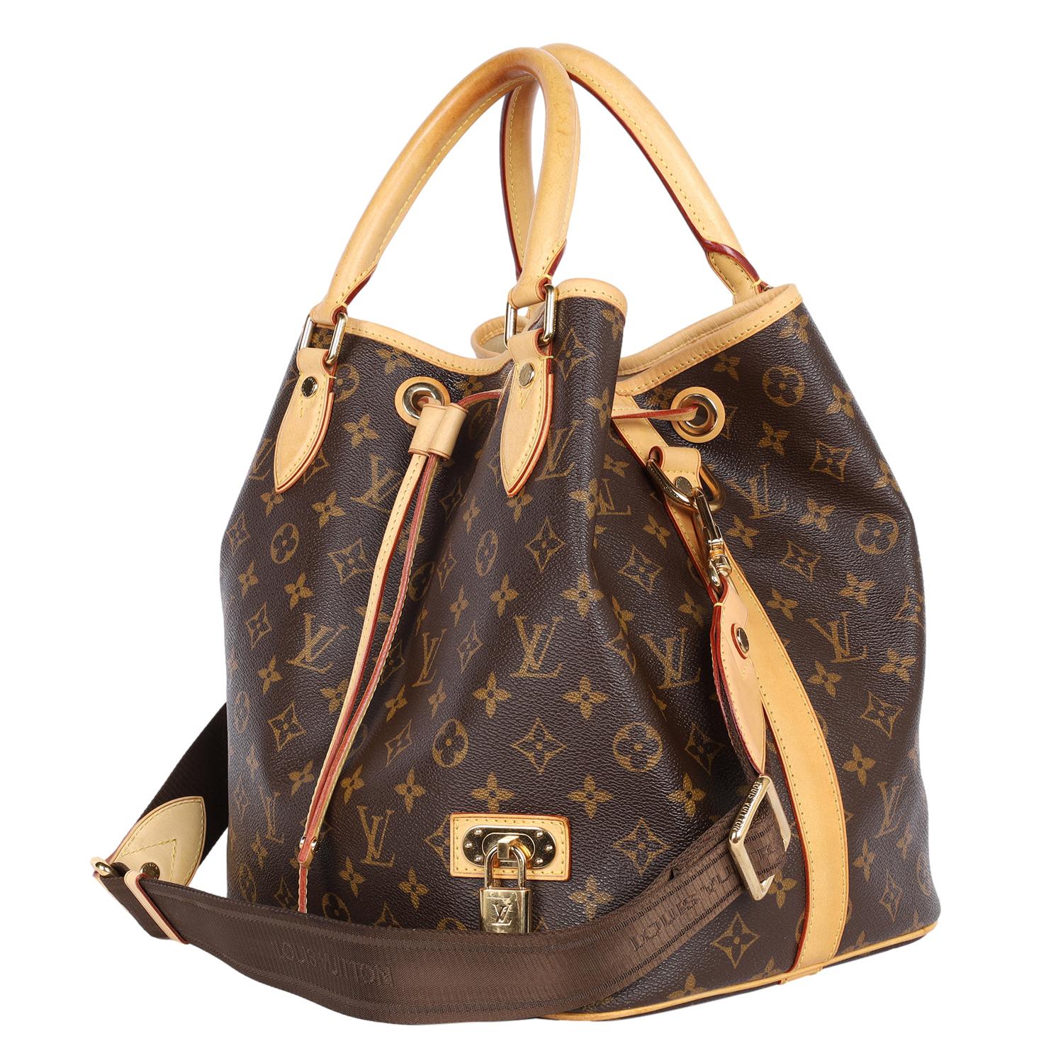 Louis Vuitton Monogram Neo Marrone 1
