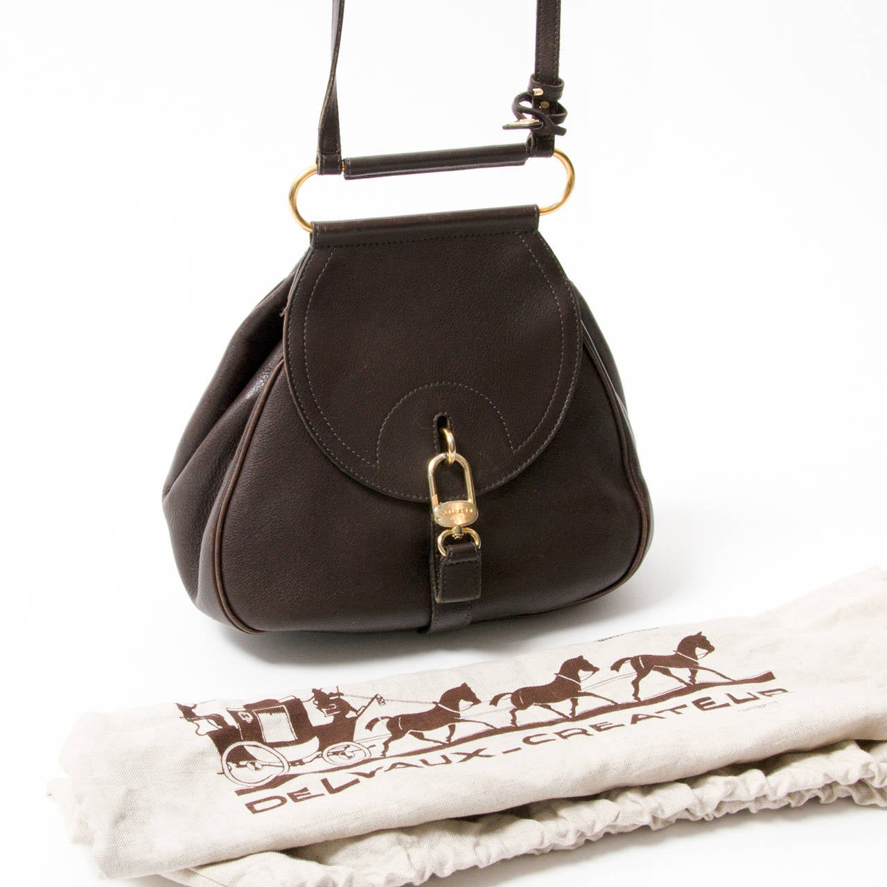 Delvaux Dark Brown 'Cerceau' Crossbody Bag 1