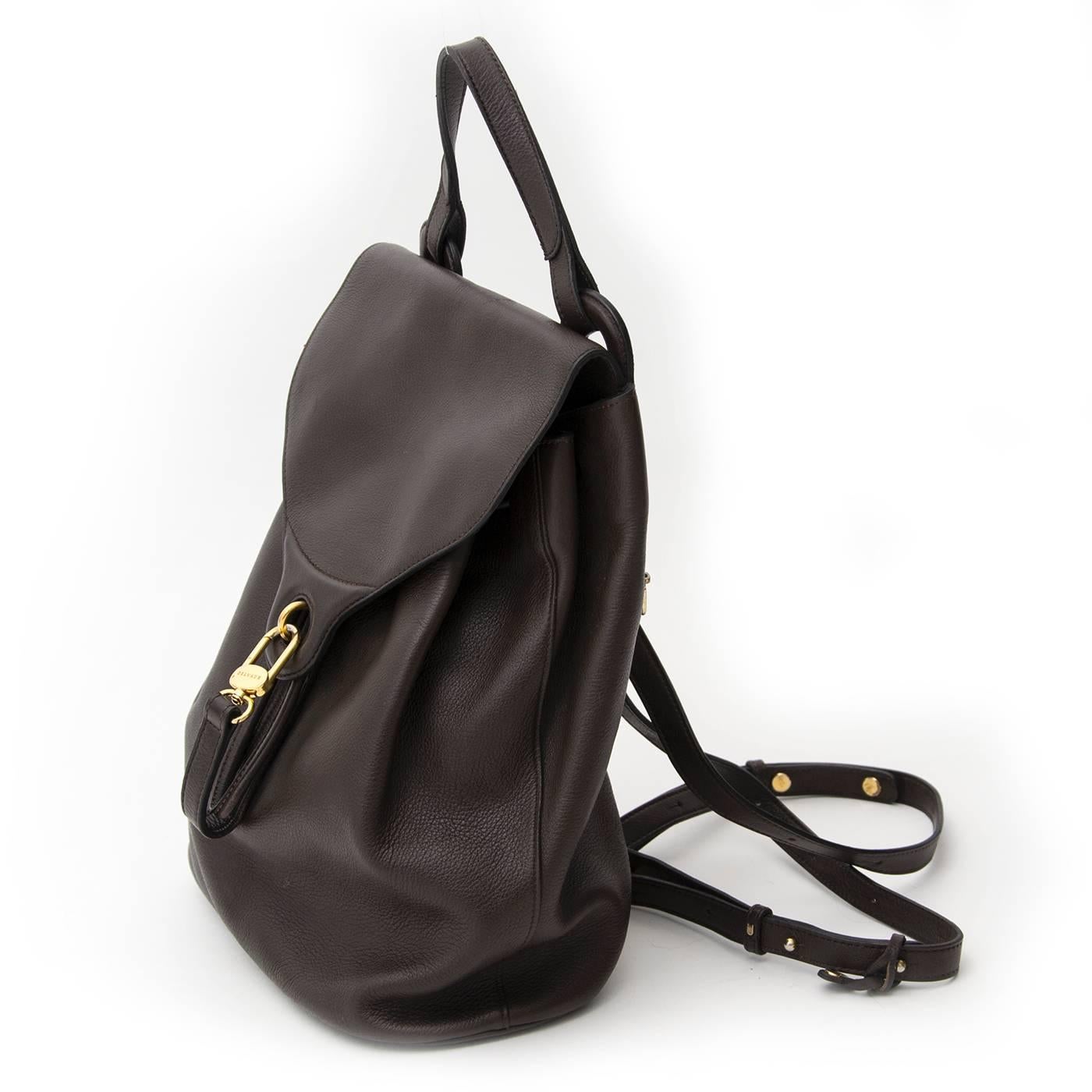 Brown backpack by Delvaux with golden hardware and a leather top handle. There's an extra compartment on the back which closes with a zipper. The shoulder straps are adjustable and therefore easy to wear. The interior is made out of suede. 