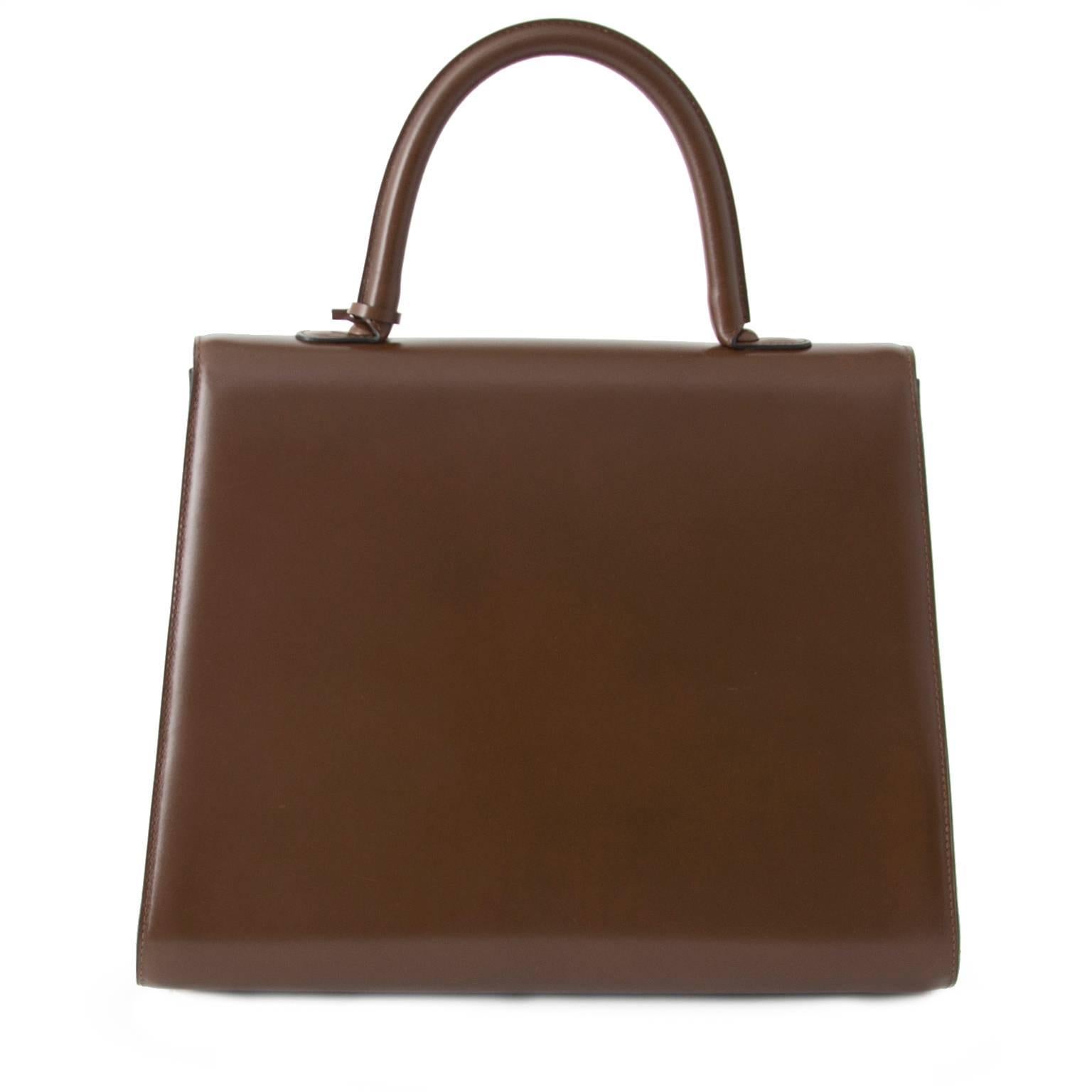 Brown Delvaux Brillant GM Noisette