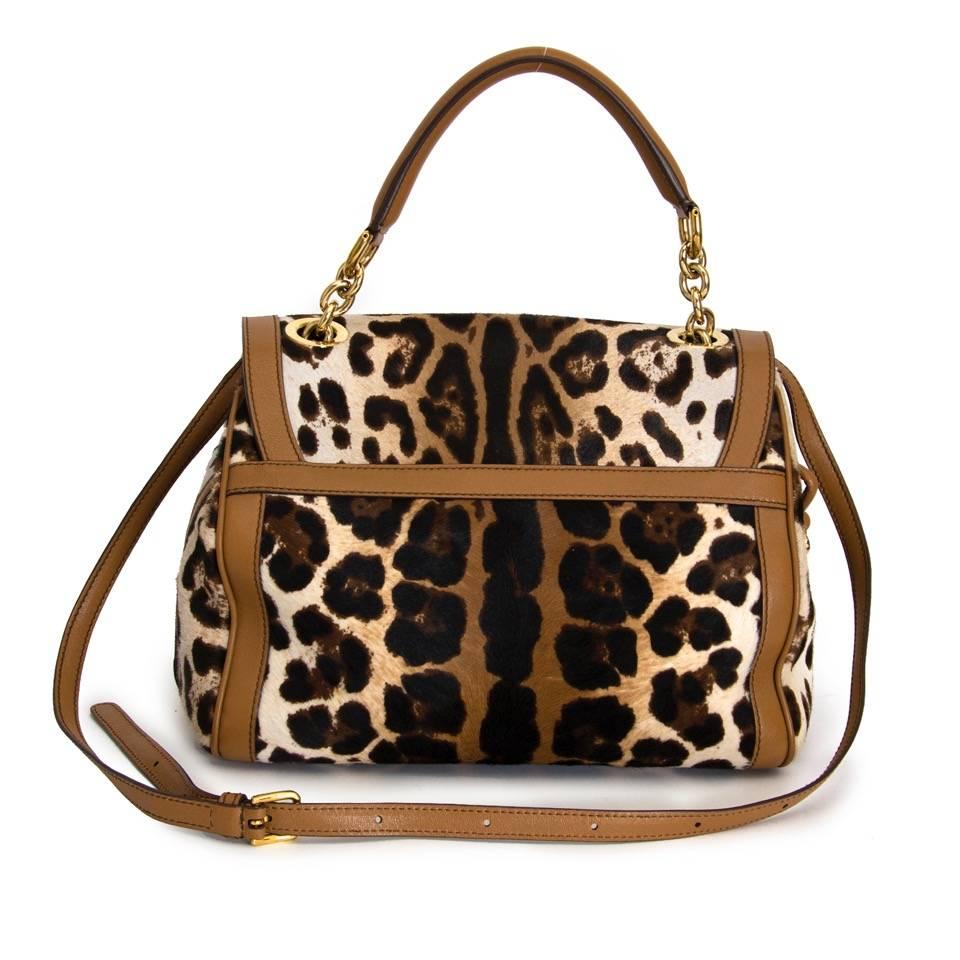 d&g leopard bag