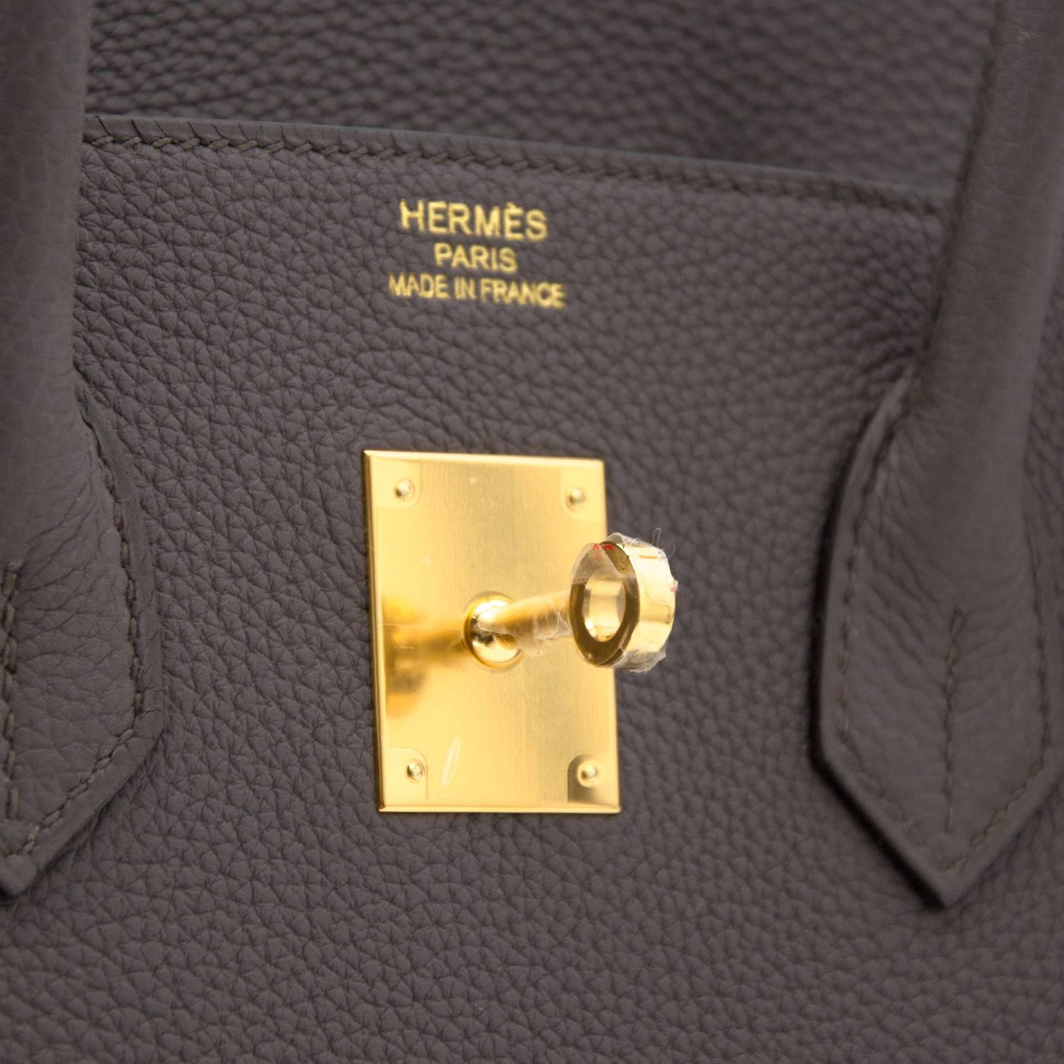 Brand New Hermes Birkin Etain Togo 35 GHW In New Condition In Antwerp, BE