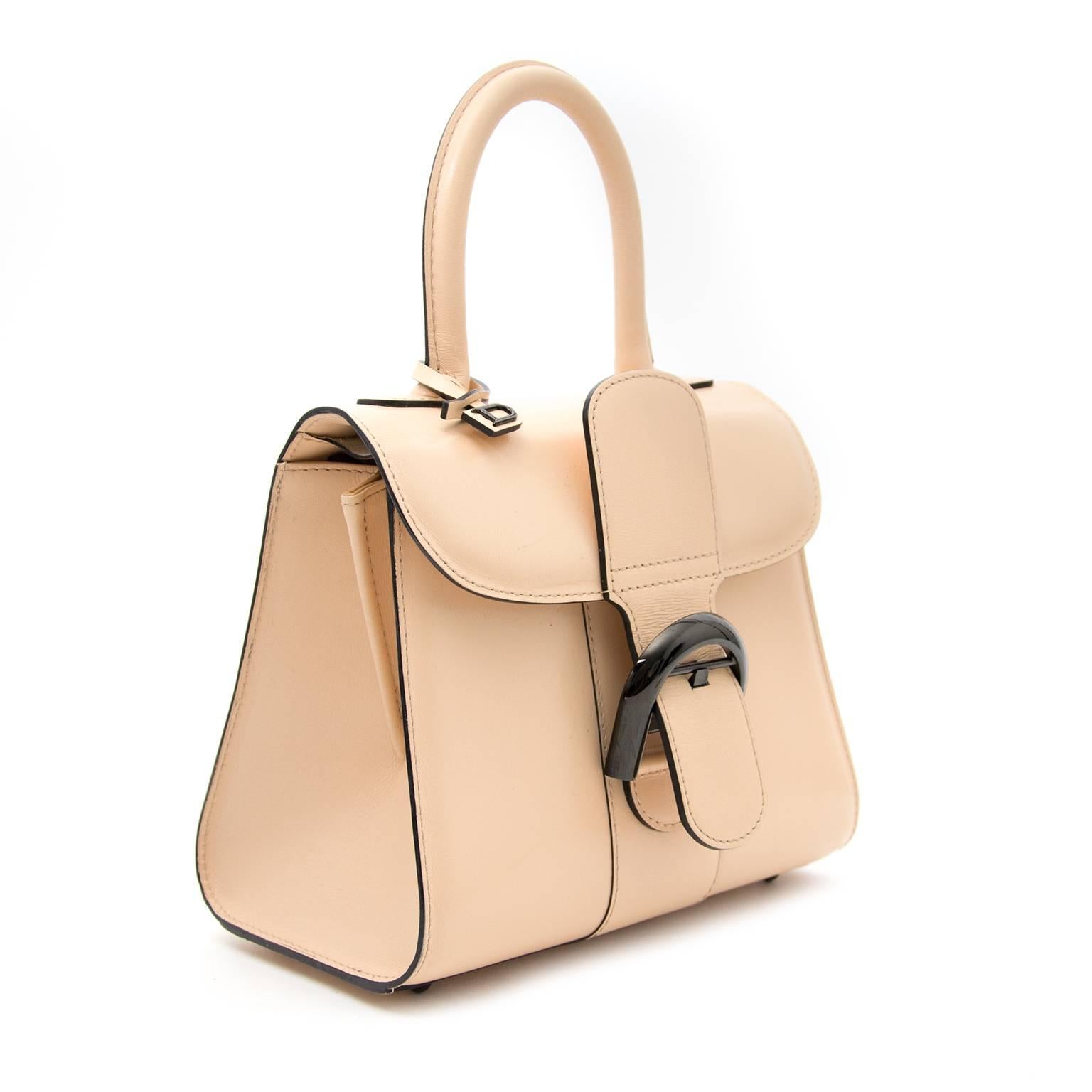 delvaux brillant mini