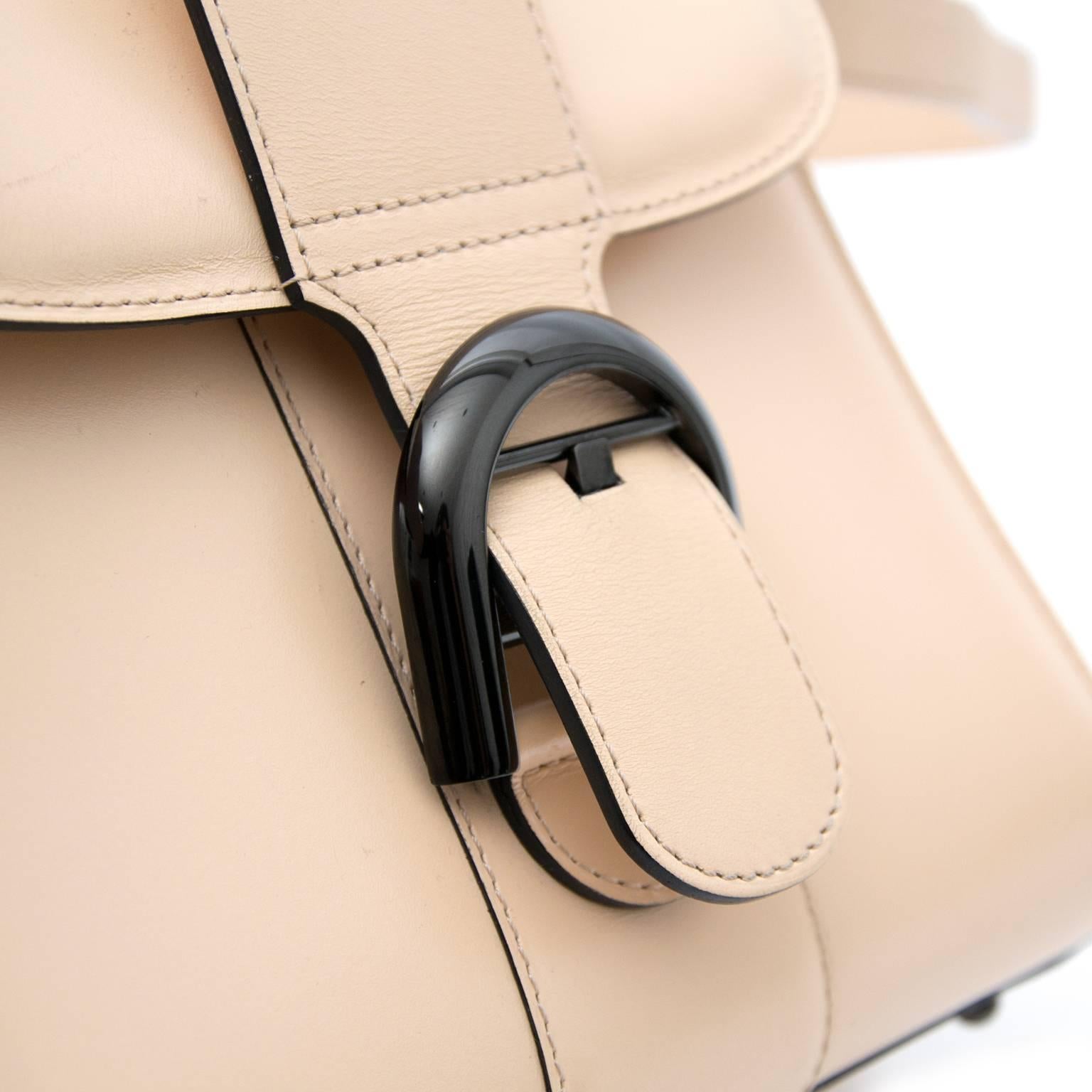 AS NEW Delvaux Mini Brillant Poudré + STRAP 2