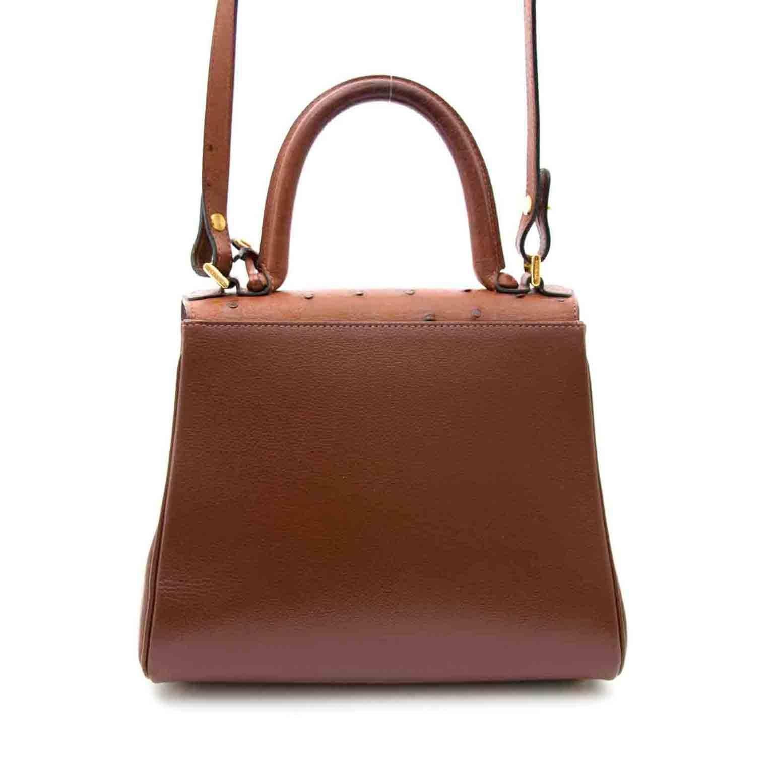 delvaux struisvogelleer