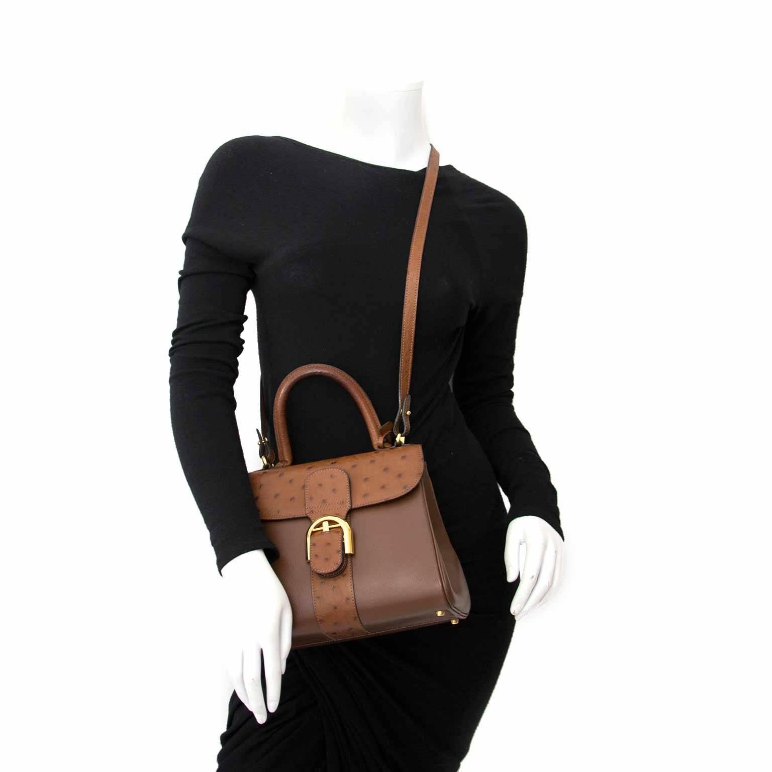 delvaux brillant struisvogel