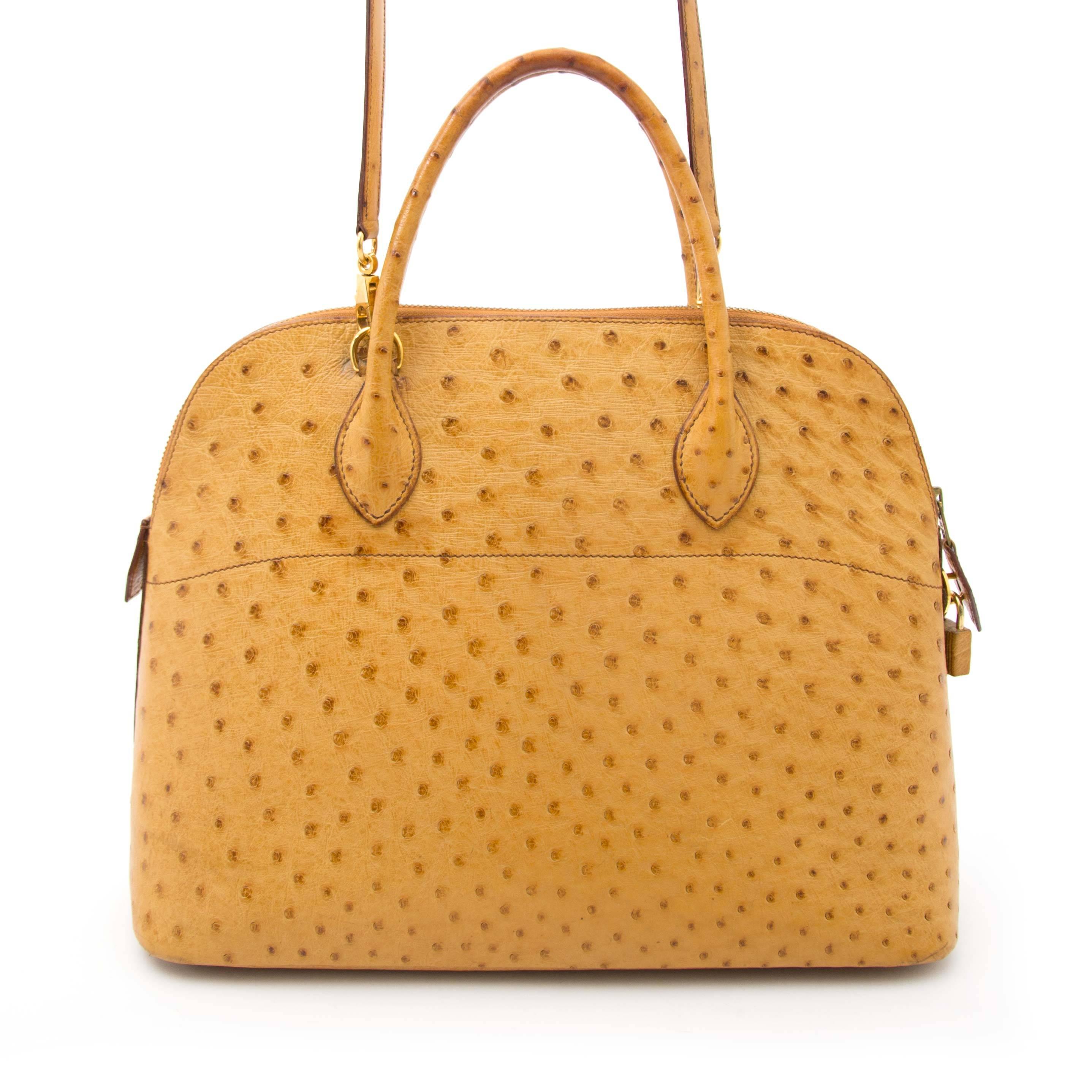 hermes bolide ostrich