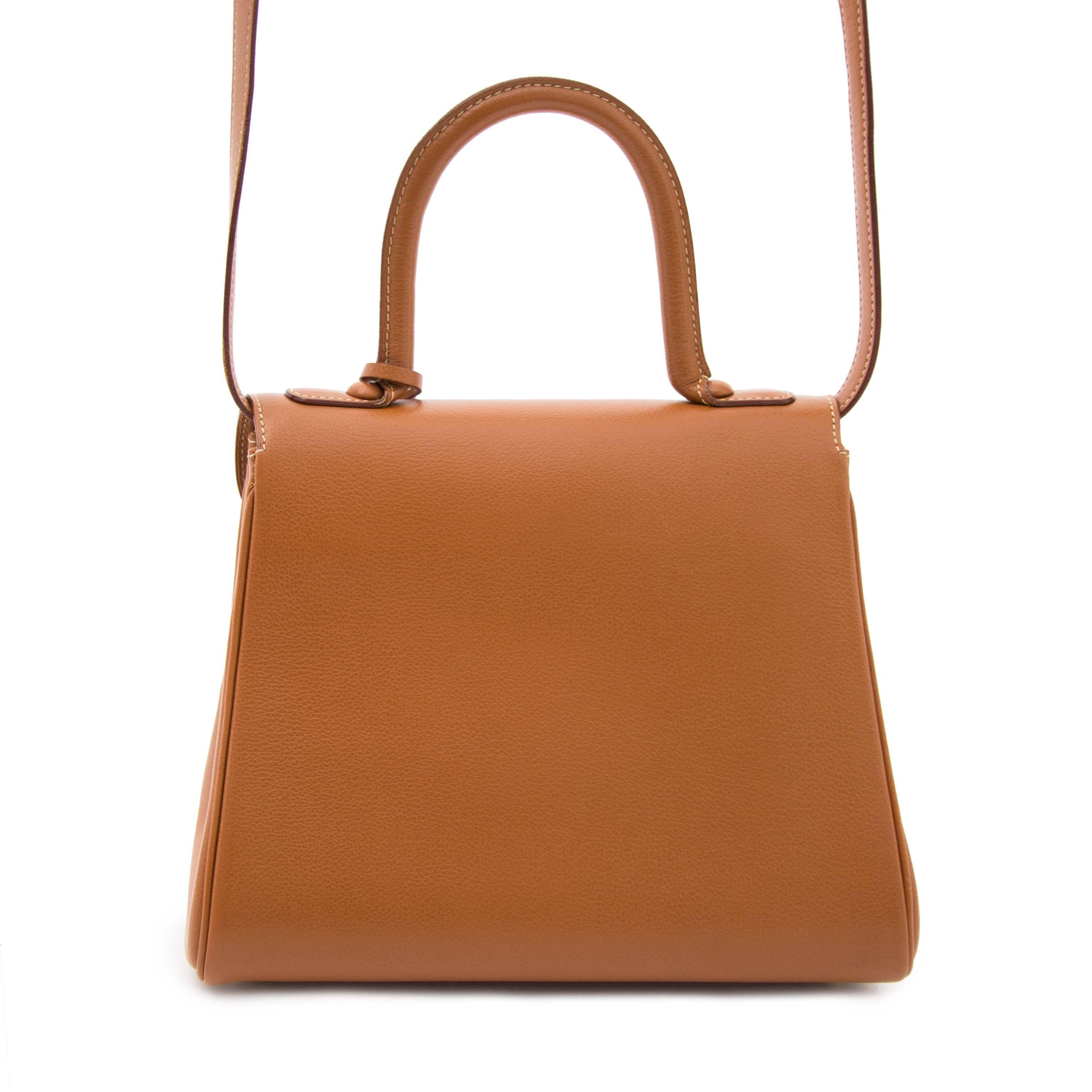 Brown Delvaux Brillant PM Jumping Fauve
