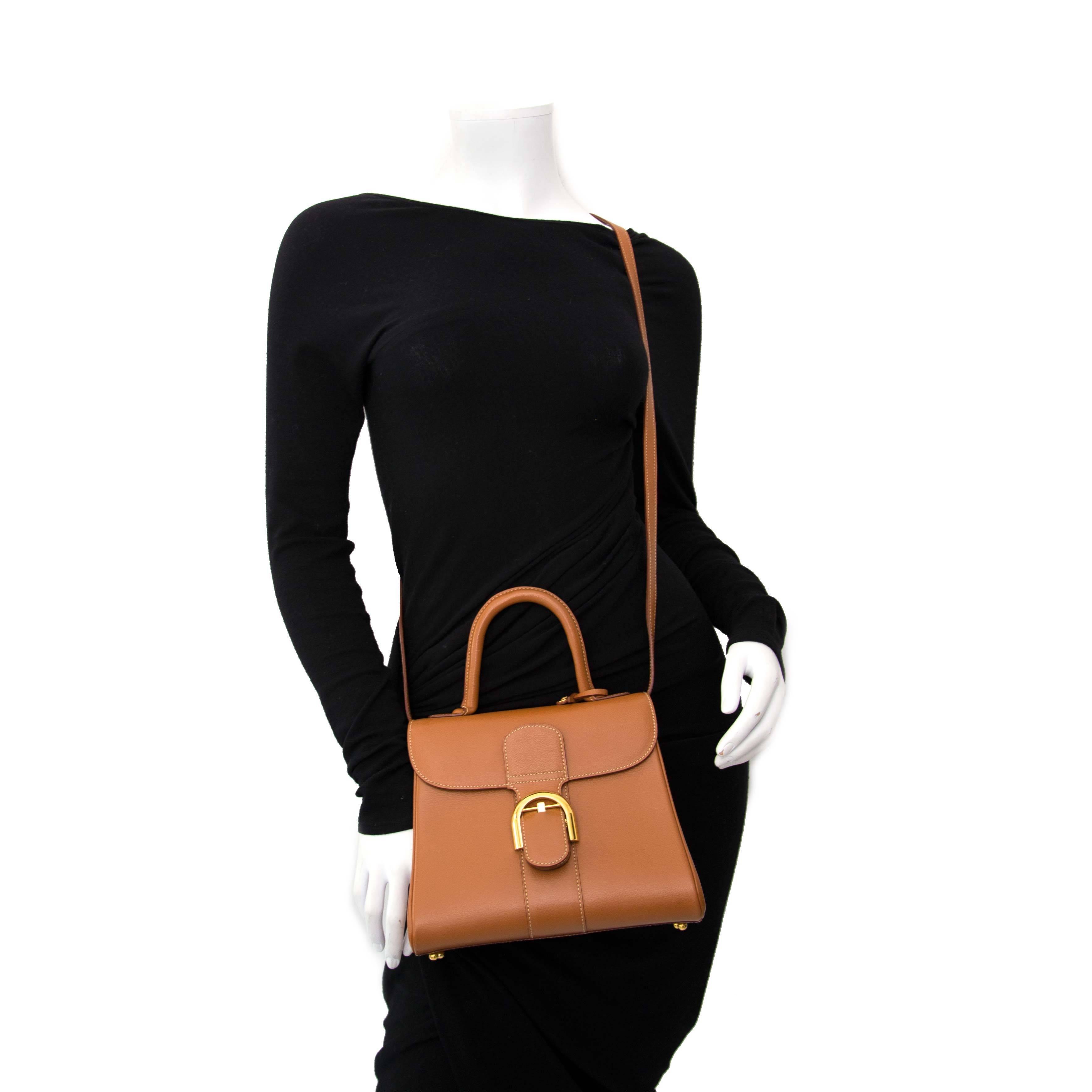 Women's Delvaux Brillant PM Jumping Fauve