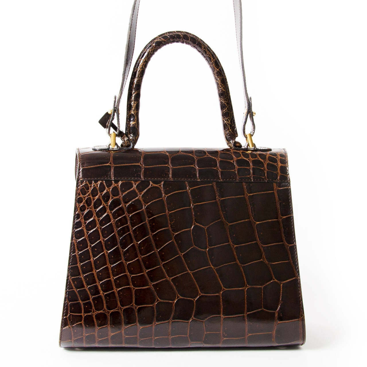 Delvaux Brown Croco Brillant MM at 1stDibs