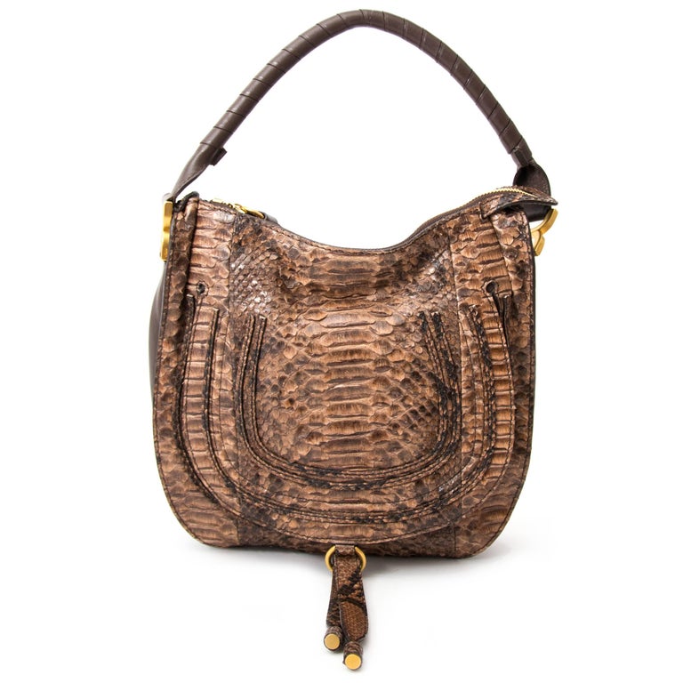 chloe python marcie