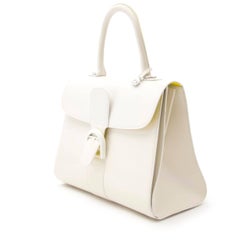 Very Limited Delvaux Brillant Magic Rainbow MM