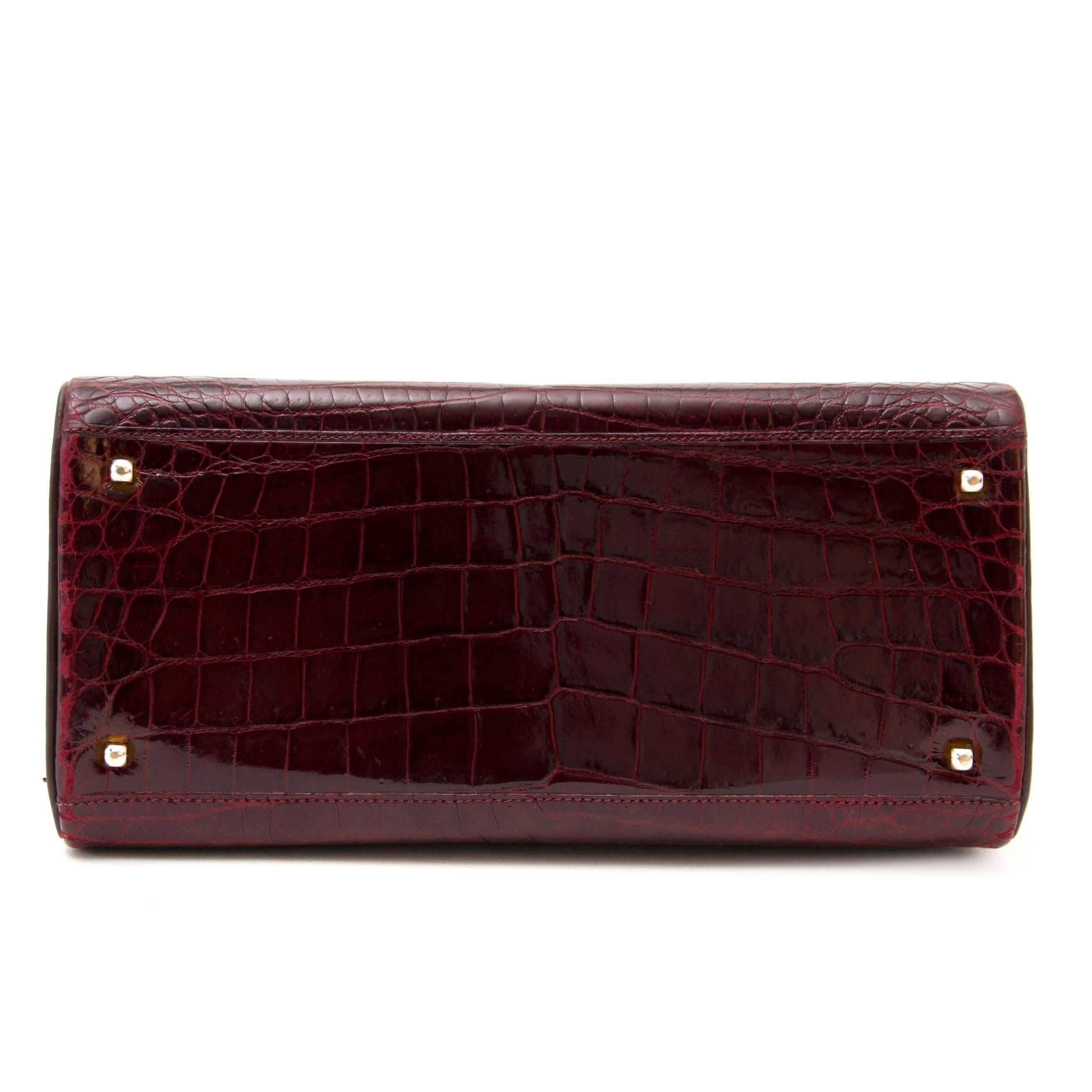 Delvaux Tempete Croc Bordeaux PM  1