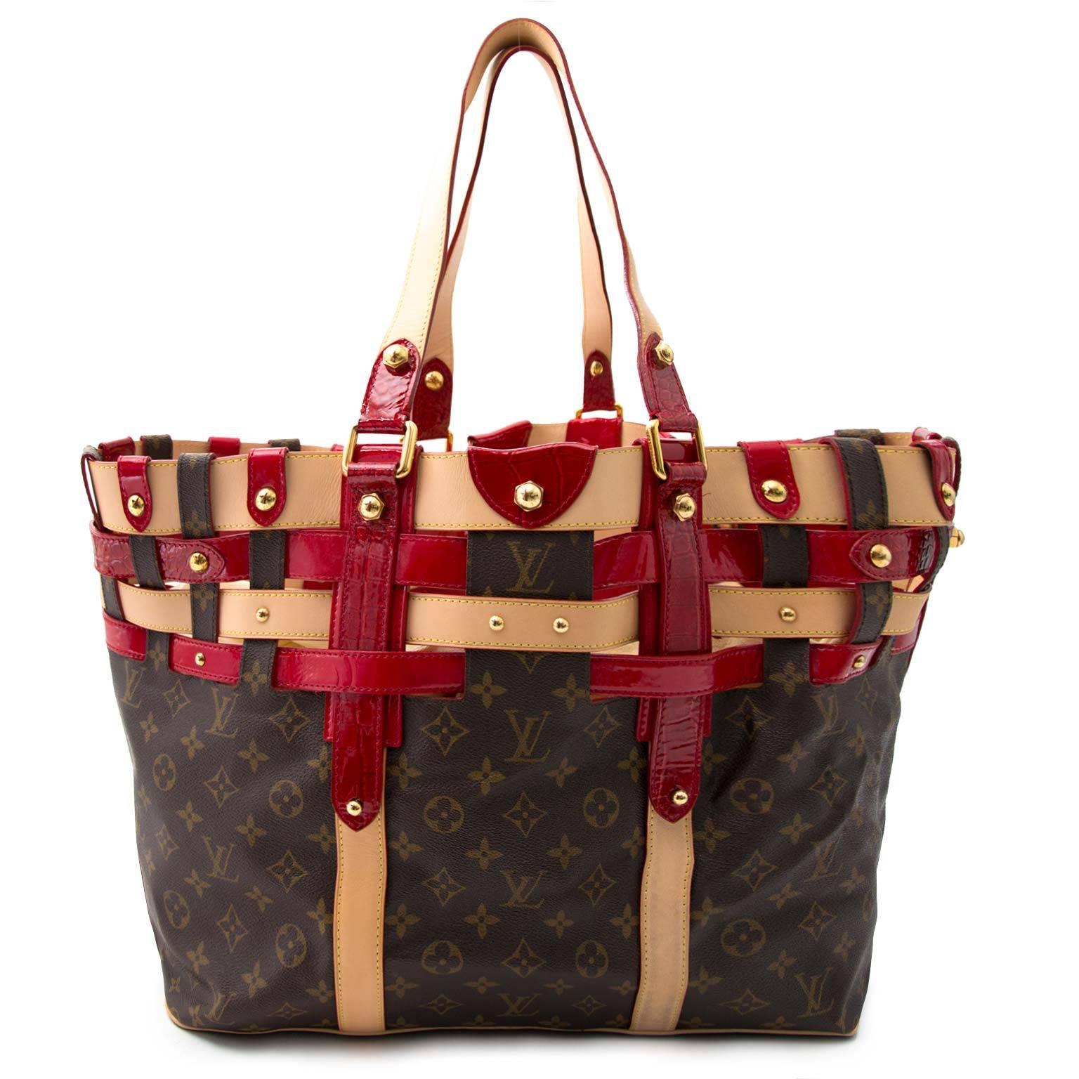 Louis Vuitton Rubis Salina GM

Very exclusive Louis Vuitton Salina with patent leather and crocodile leather red accents. Monogram printed canvas with vachetta cowhide trims.

The bag has an open top that can be closed with a buckle on the inside.