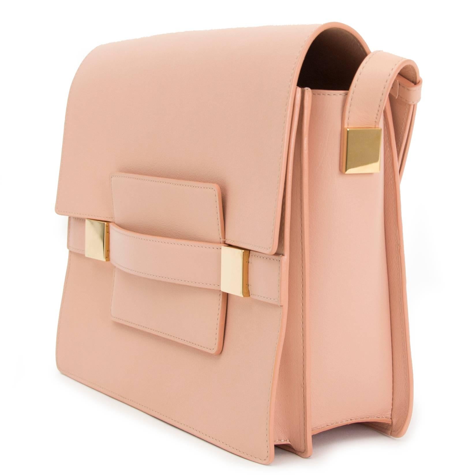 This bag by luxury Belgian leather brand Delvaux comes in dusty pink leather and gold hardware.

This iconic model, Le Madame, is known for its graphic details, clean lines and rectangular shape.

The leather strap of the bag is adjustable and can