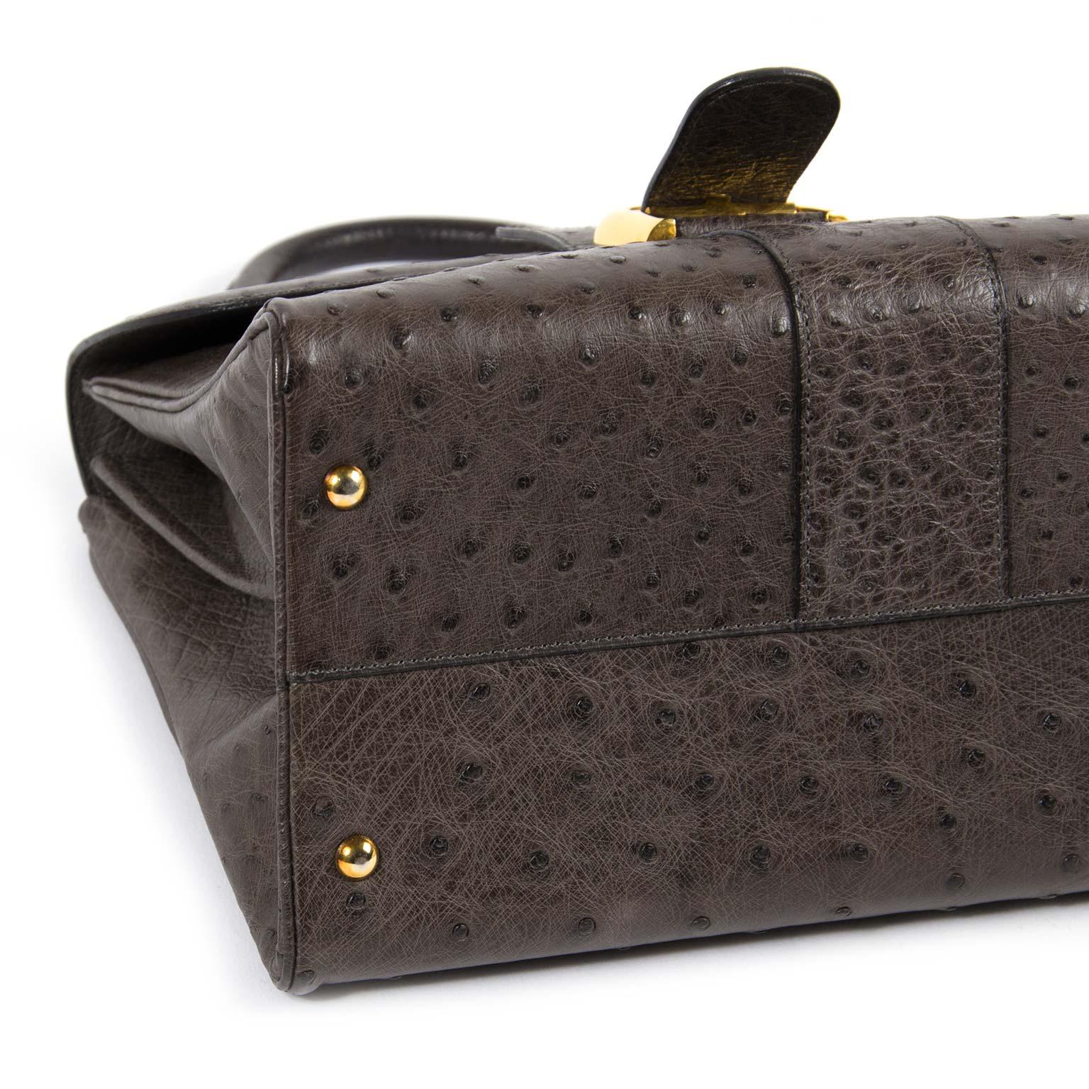 Delvaux Brillant Autruche MM Palissandre Sac 2