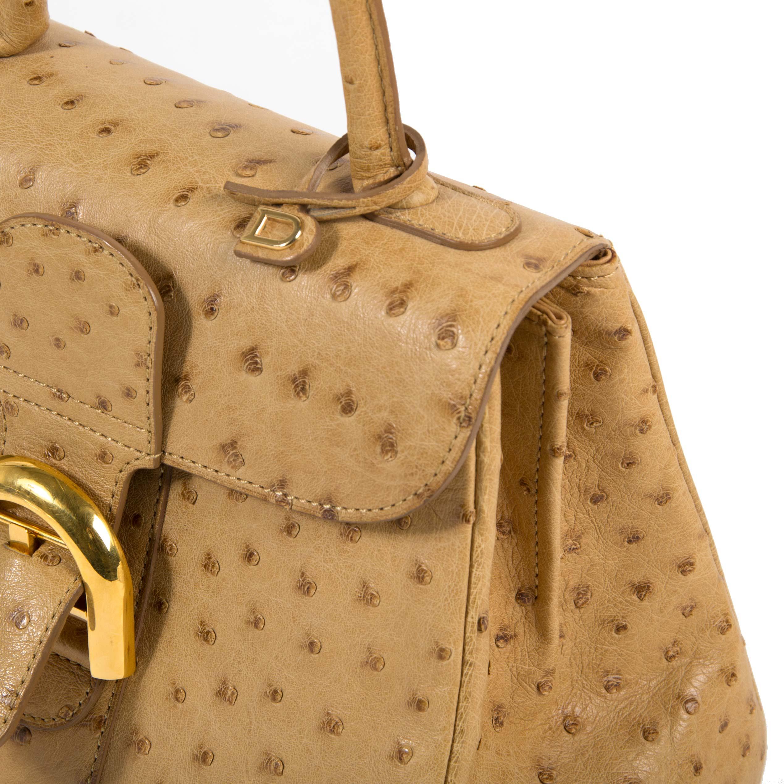Très bon état d'usage

Delvaux Brillant Mini Ostrich Bag 

Cette superbe pièce de Delvaux est un ajout parfait à votre garde-robe. 
Il est fabriqué en cuir d'autruche:: connu pour sa douceur et son motif unique. 
Il s'ouvre et se ferme à l'aide de
