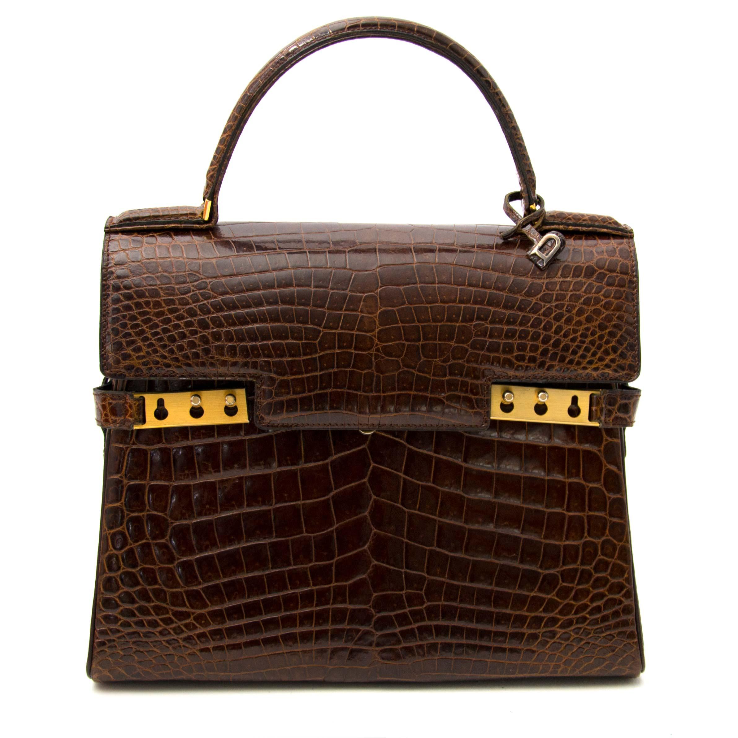 Delvaux Tempete PM Himalaya Crocodile Limited Edition Bag – Mightychic