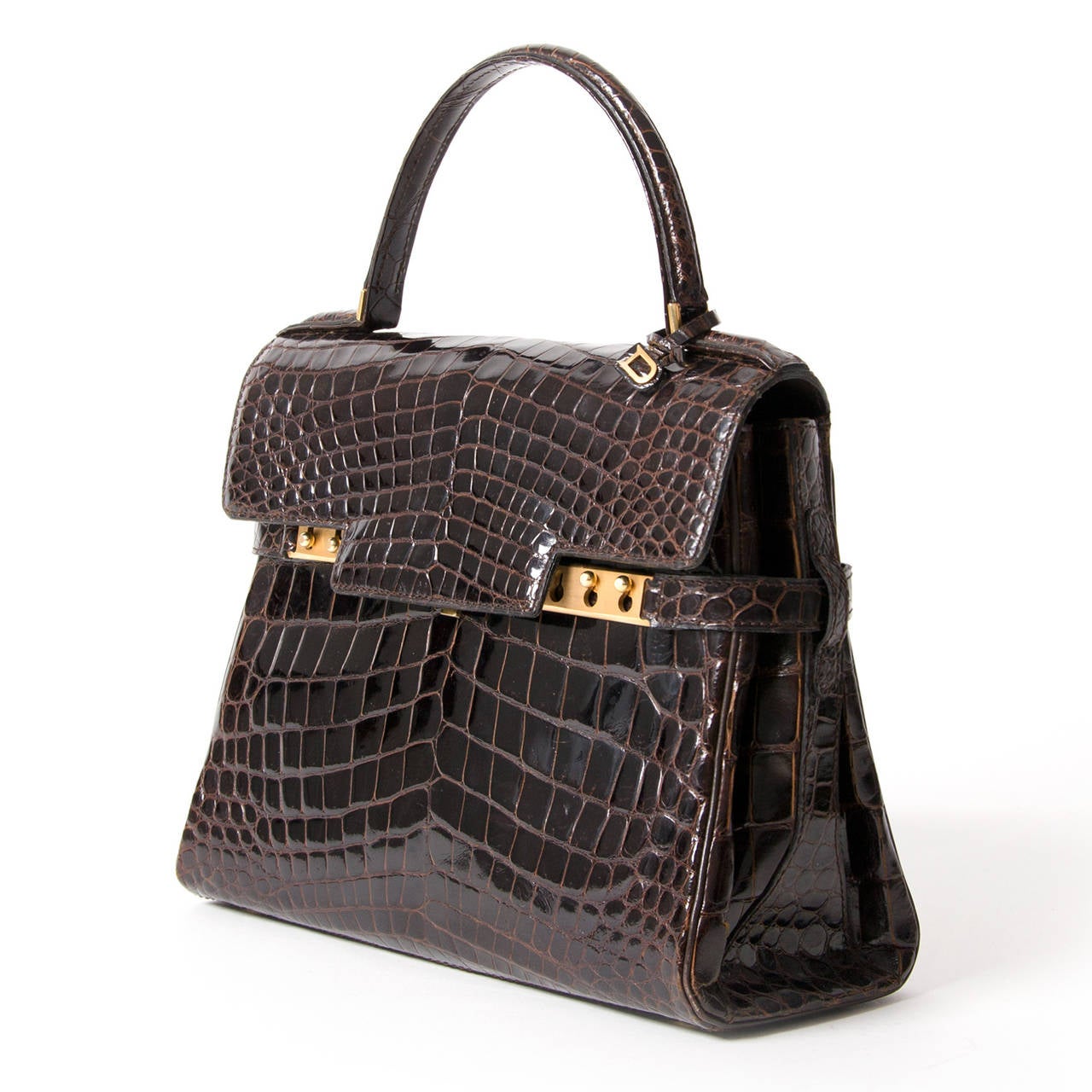 delvaux crocodile bag