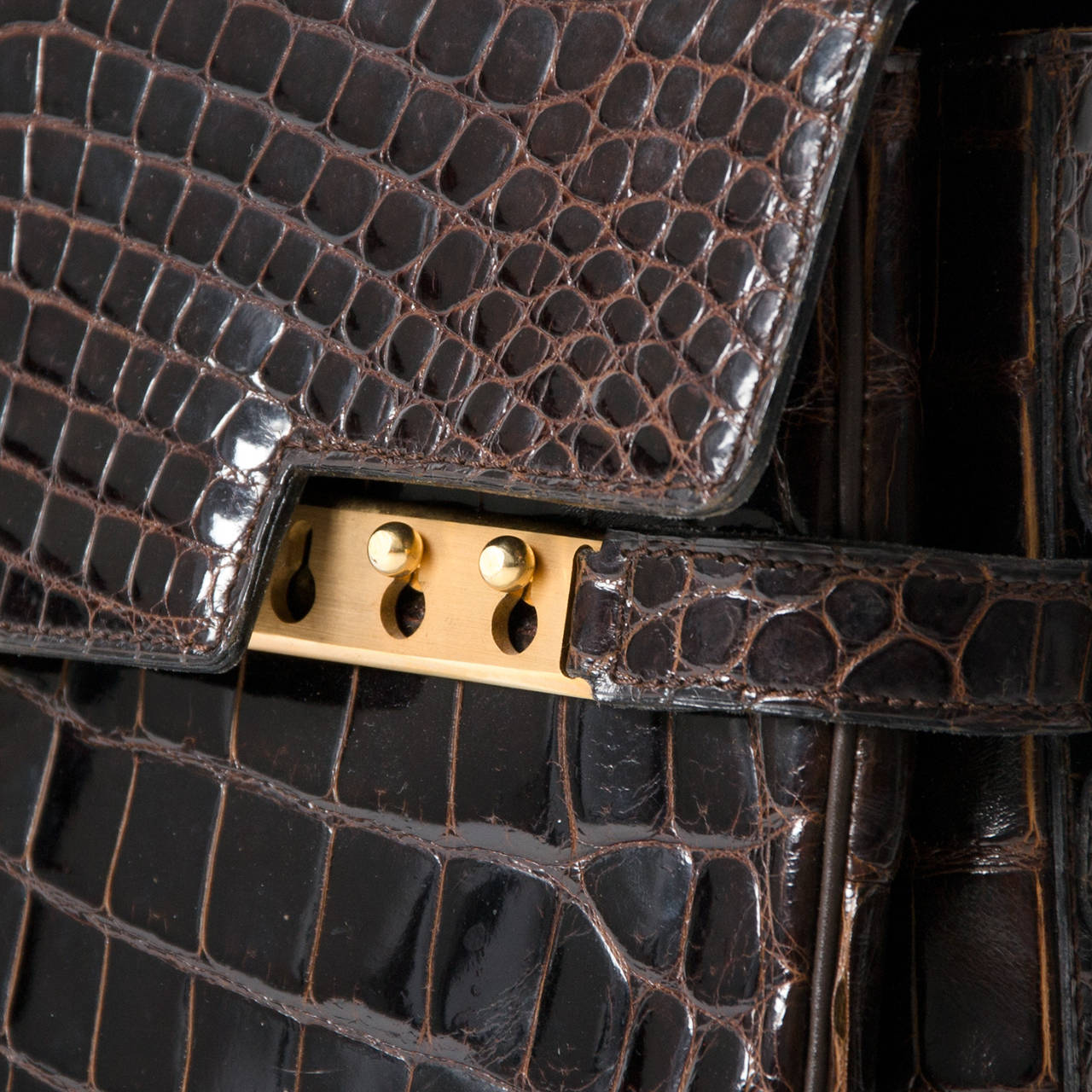 Delvaux Dark Brown Crocodile Tempête 1