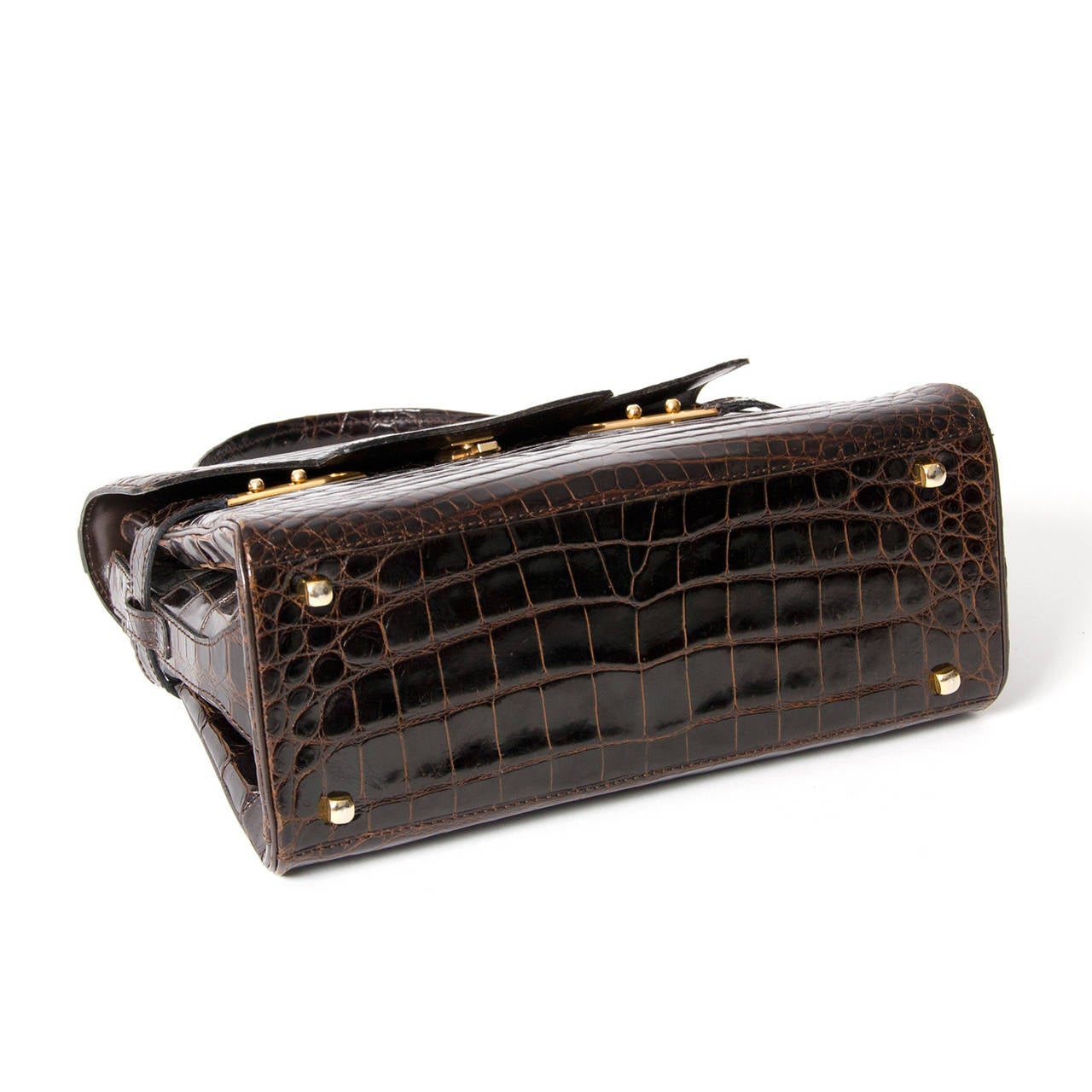 Women's Delvaux Dark Brown Crocodile Tempête