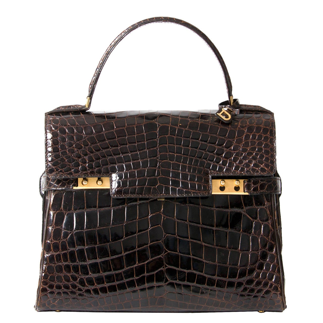 Delvaux crocodile hotsell bag