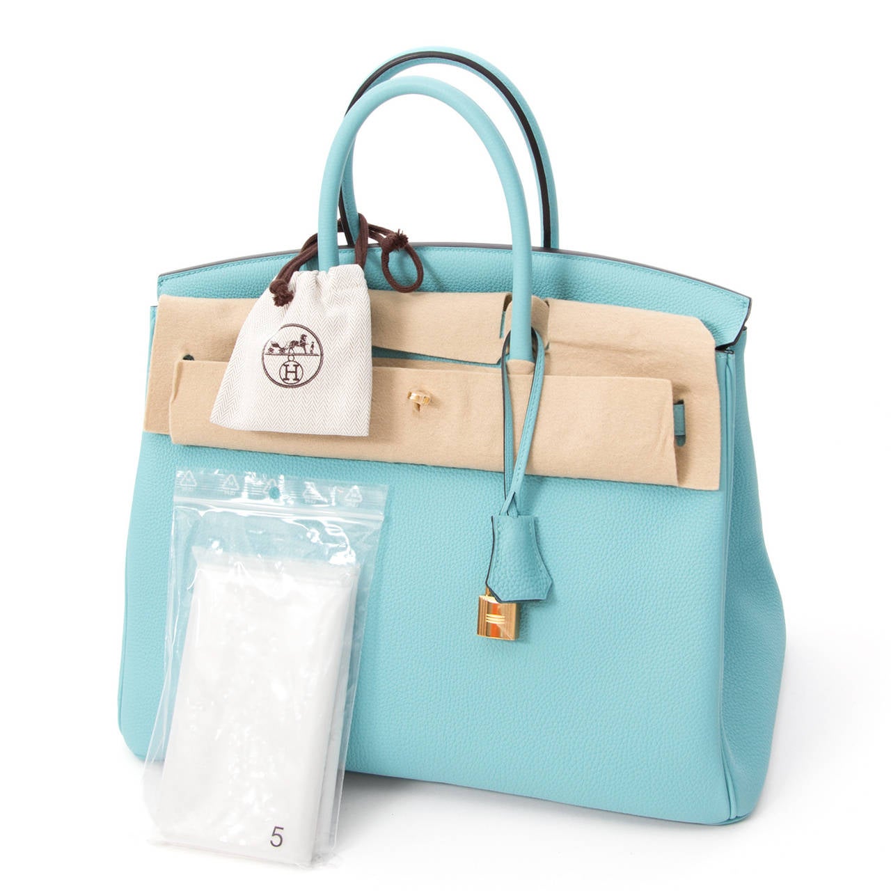 Hermes Birkin 25 Blue Atoll Tiffany Blue Togo Leather Gold Hardware at  1stDibs