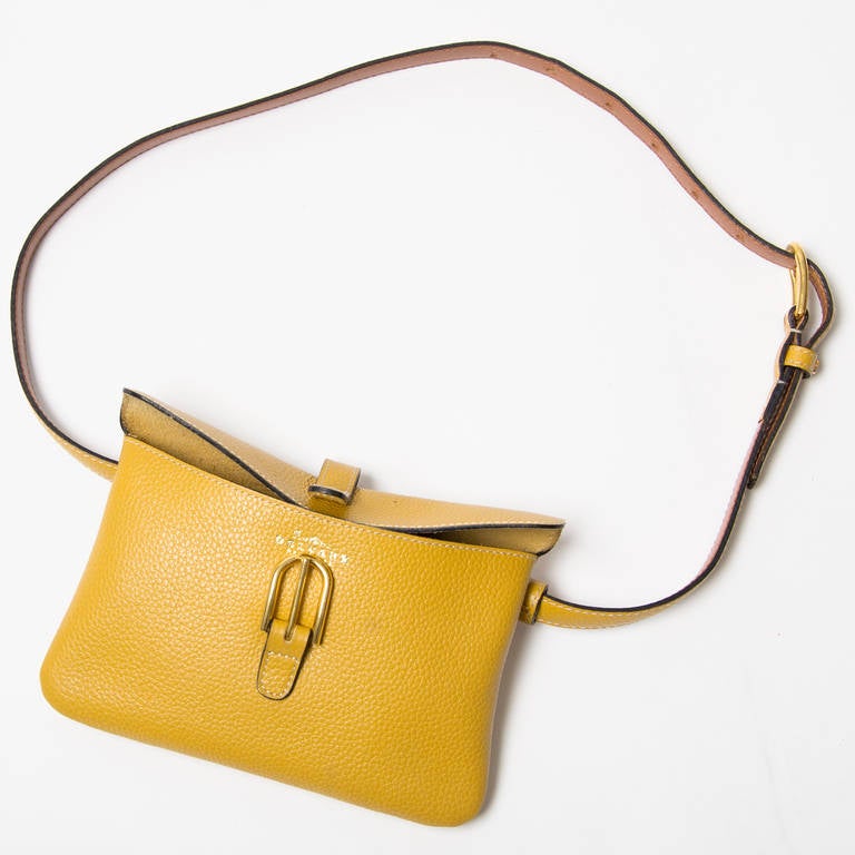 Delvaux Brown hip bag with golden hardware, a perfect travel bag. 
Adjustable hip strap.