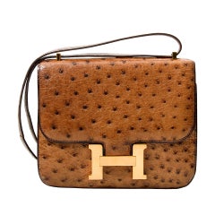 Hermes Constance Bag Ostrich 18