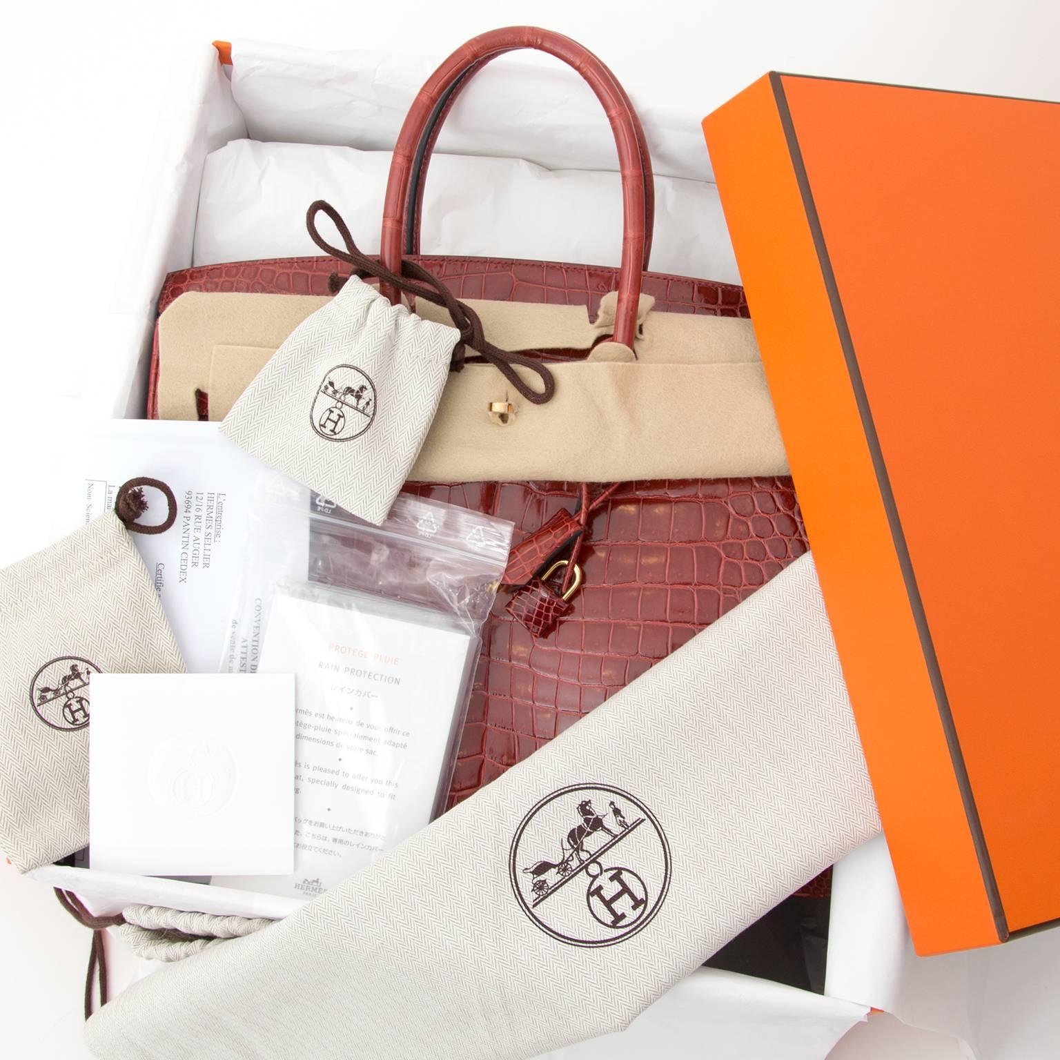birkin pelle di coccodrillo