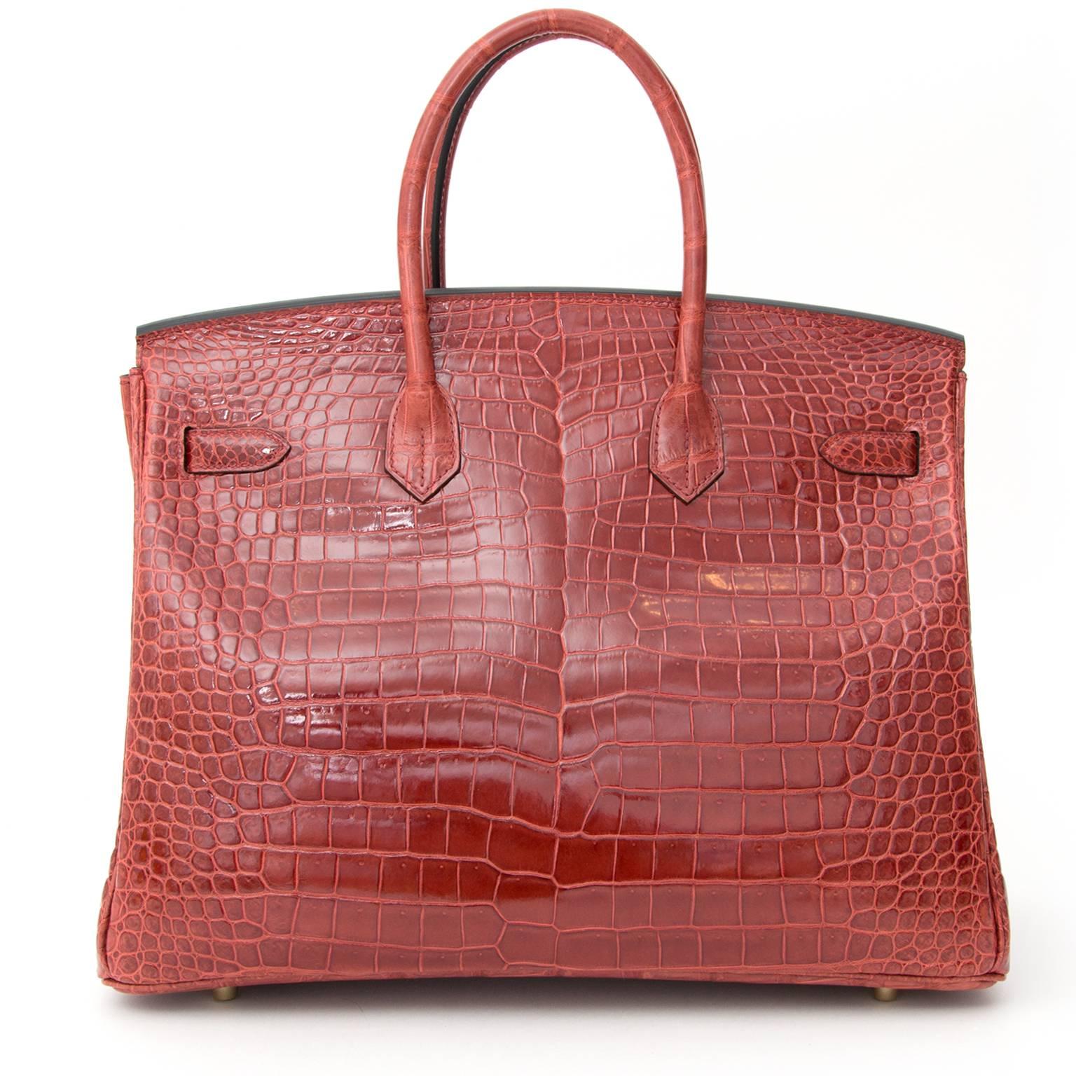 birkin coccodrillo rossa