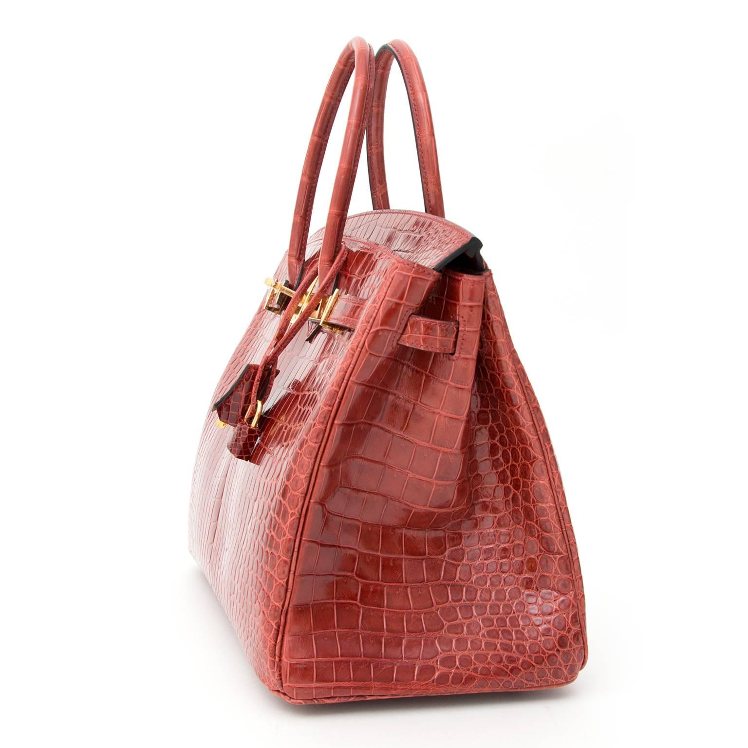 birkin hermes pelle di coccodrillo